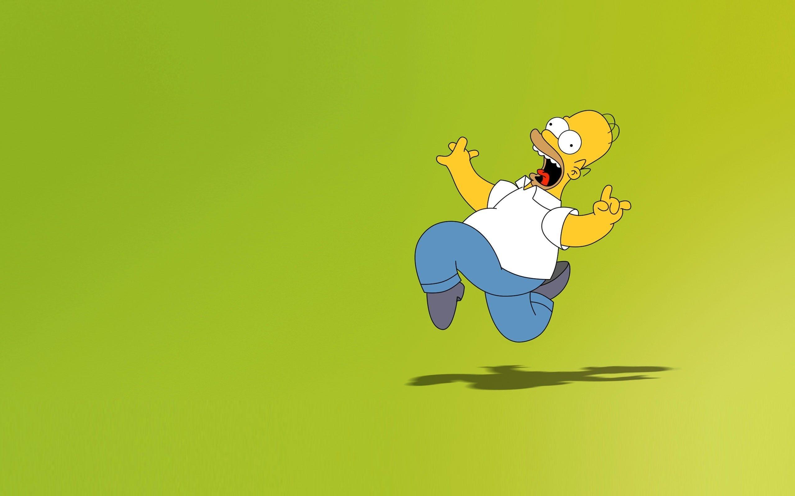 Hình nền máy tính để bàn 2560x1600 Homer Simpson