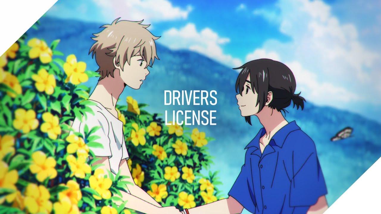 1280x720 Drivers License no Étranger「AMV」