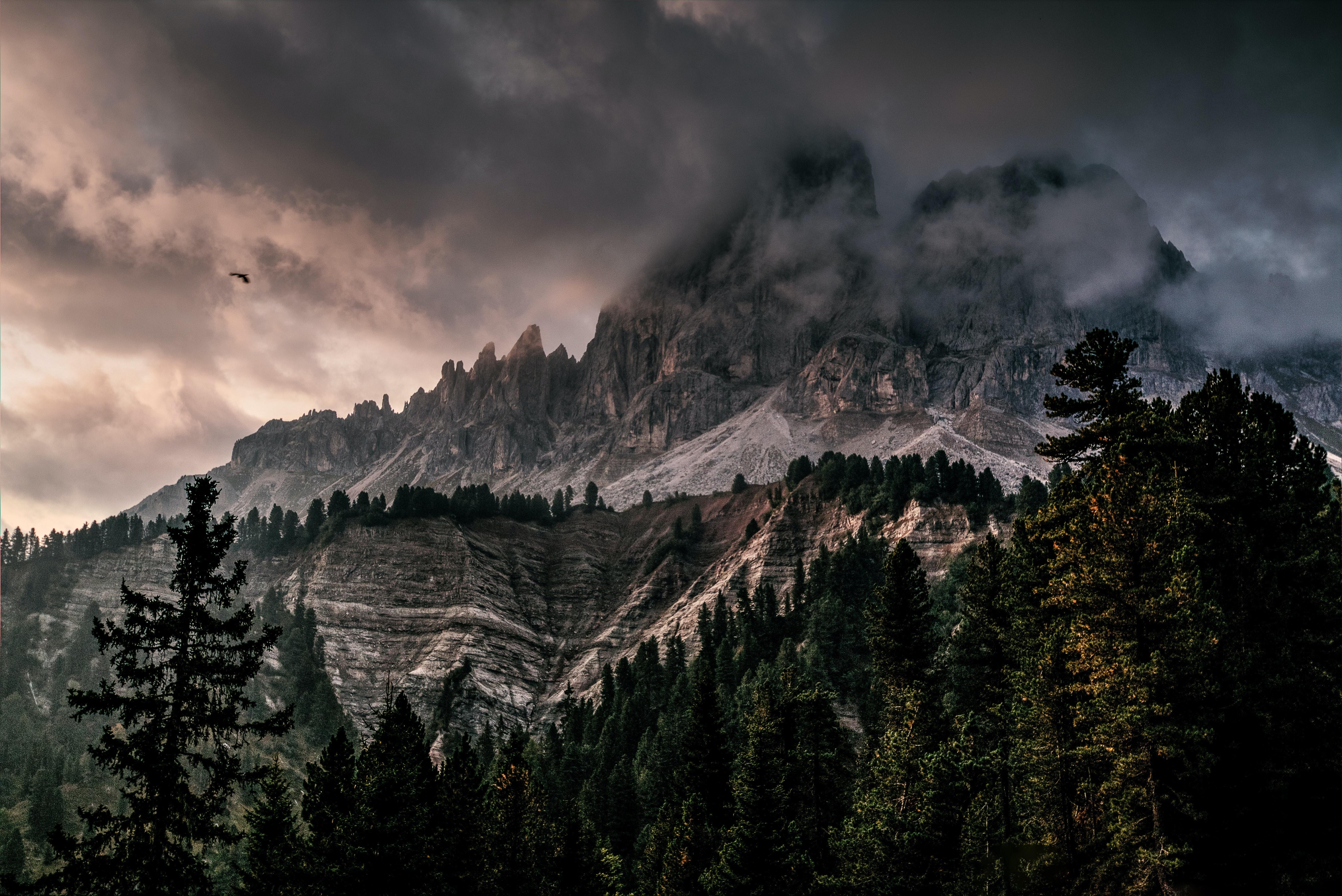 5496x3670 Best Desktop Wallpaper Photo · 100% Free Downloads