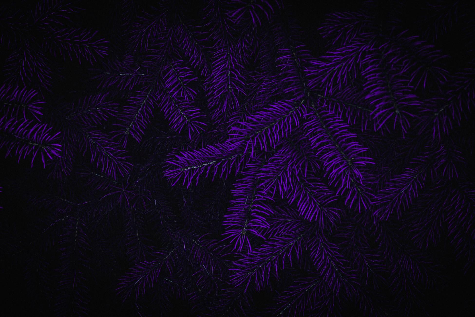 1950x1300 Photohop, dark, purple background Gallery HD Wallpaper