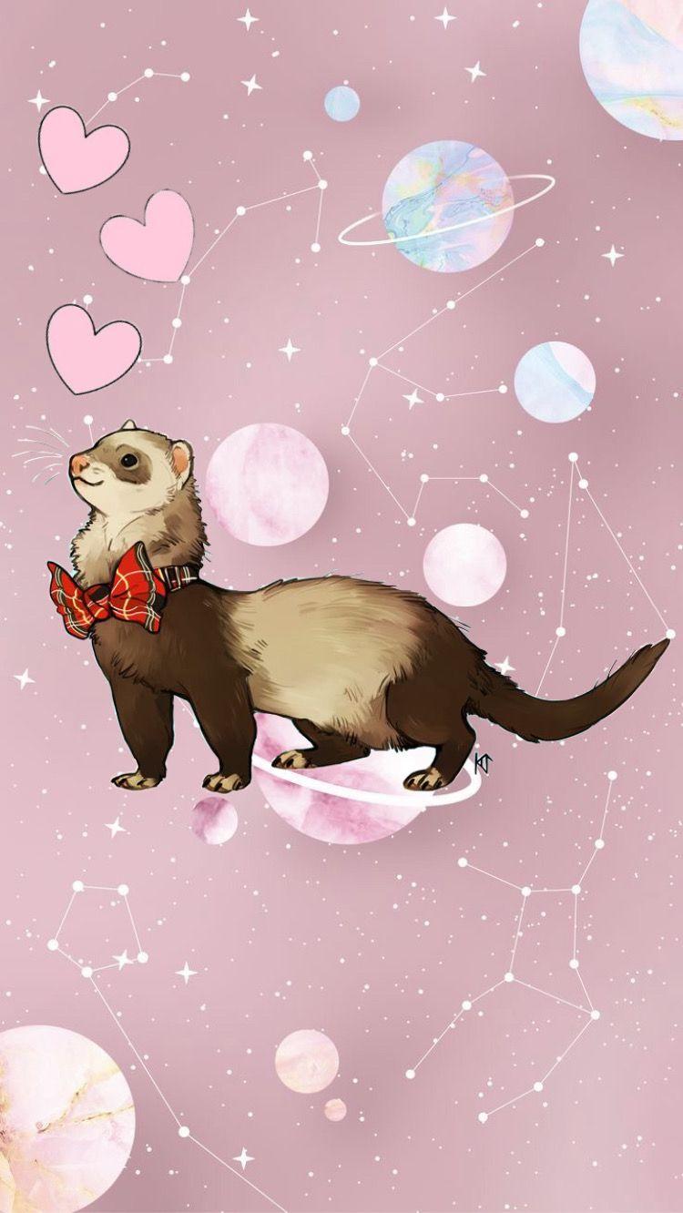 Kawaii Ferret Wallpapers - Top Free Kawaii Ferret Backgrounds ...