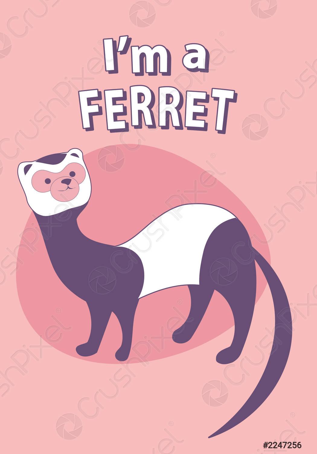 1050x1500 Cute cartoon style ferret with title above, on colorful background vector 2247256