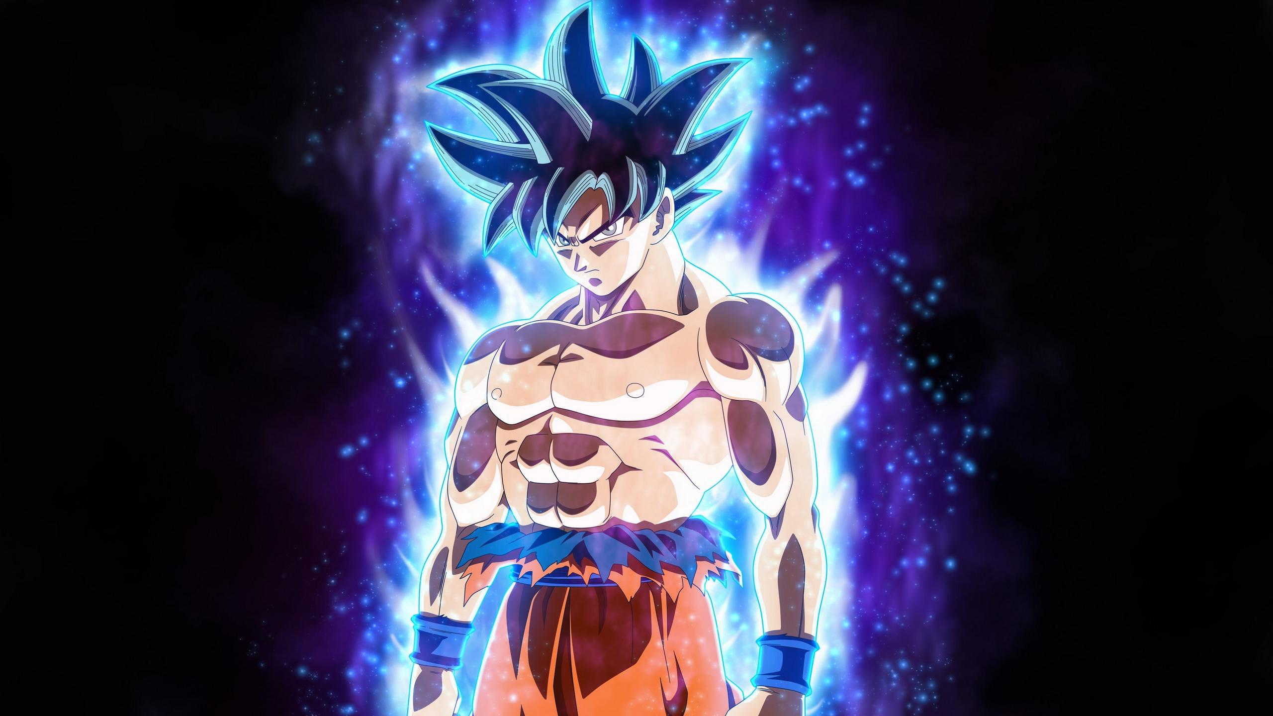 Goku Black Ultra Instinct Wallpapers - Top Free Goku Black Ultra ...