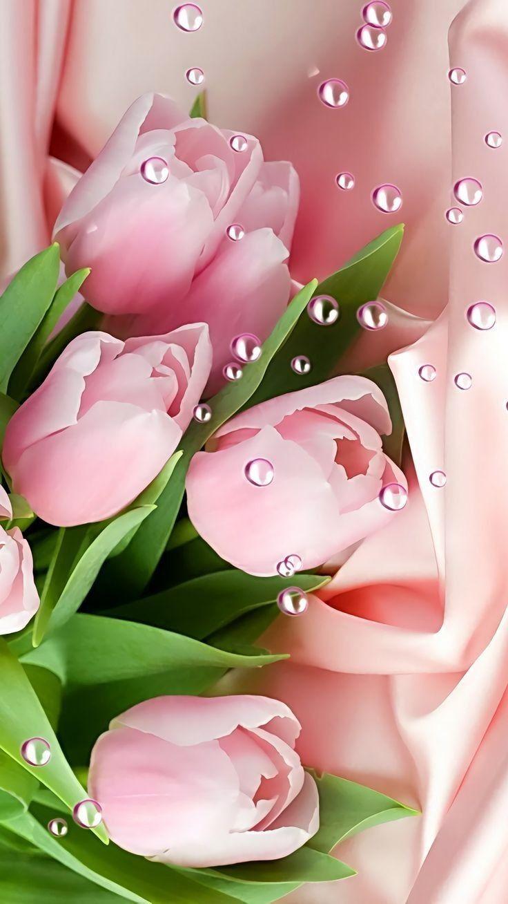 736x1308 All things bright and beautiful.. Rose flower wallpaper, Beautiful flowers wallpaper, Pink flowers wallpaper
