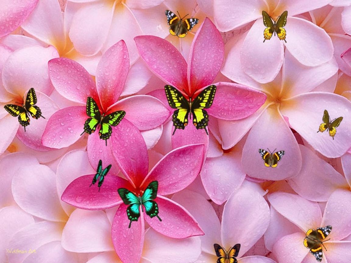 1152x864 Girly Wallpaper for Desktop Tumblr