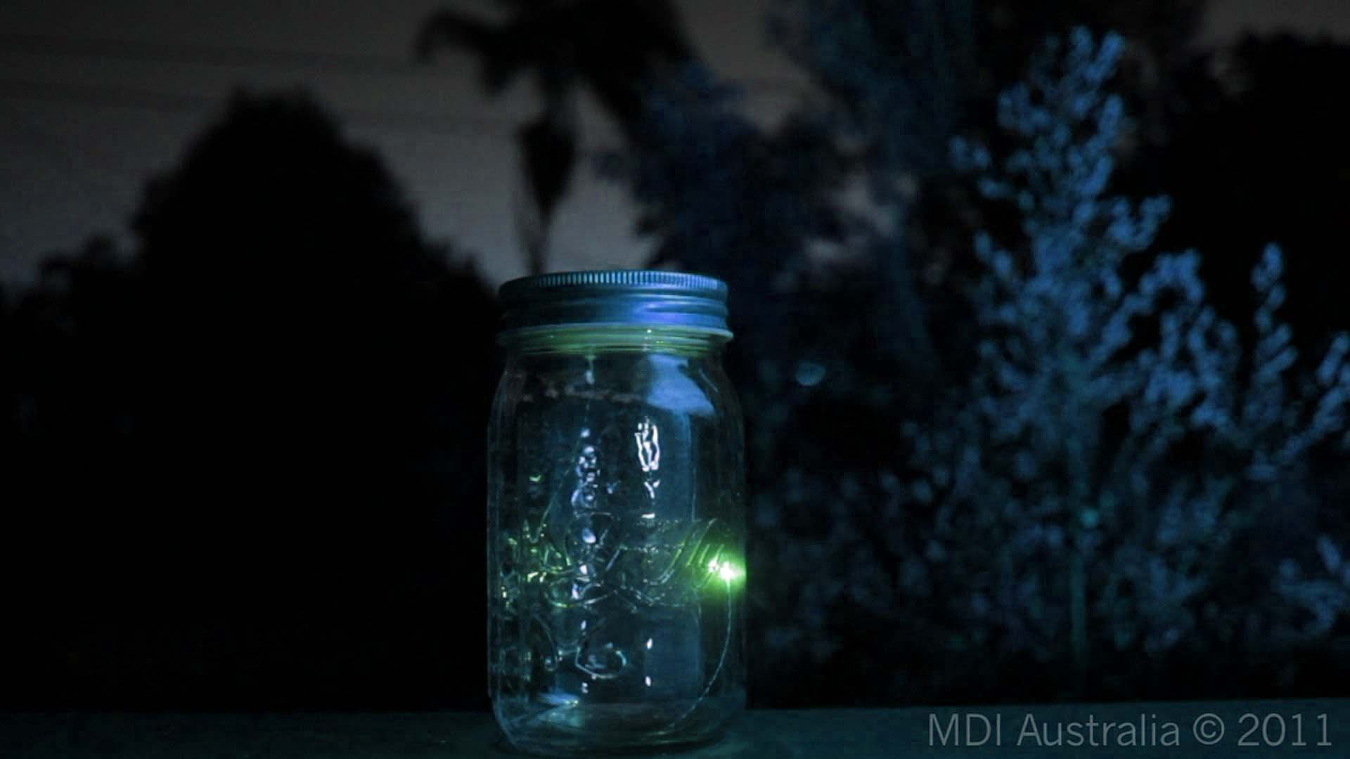 1920x1080 Fireflies Wallpaper