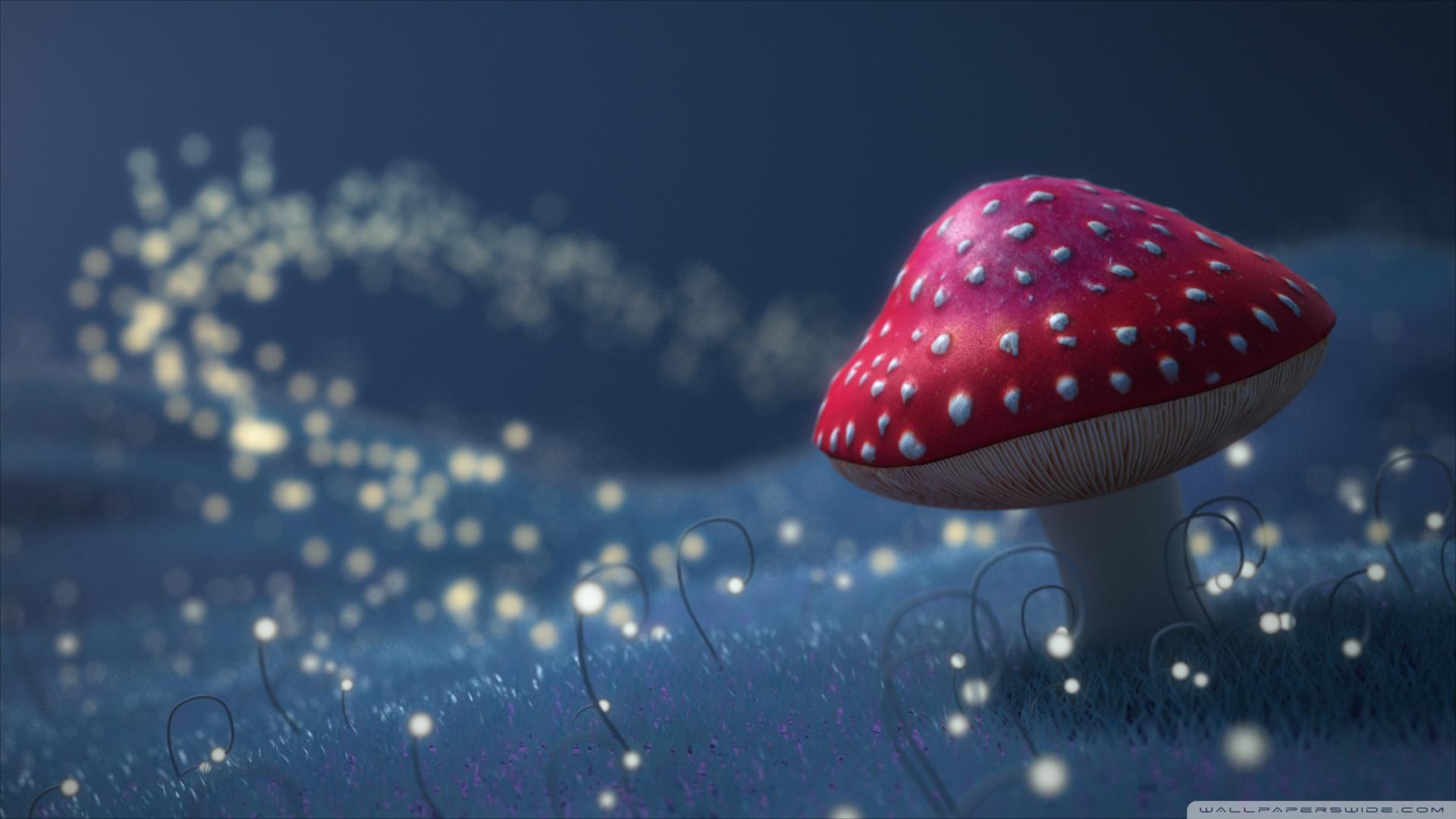 1920x1080 Fireflies Ultra HD Desktop Background Wallpaper for 4K UHD TV : Widescreen & UltraWide Desktop & Laptop : Tablet