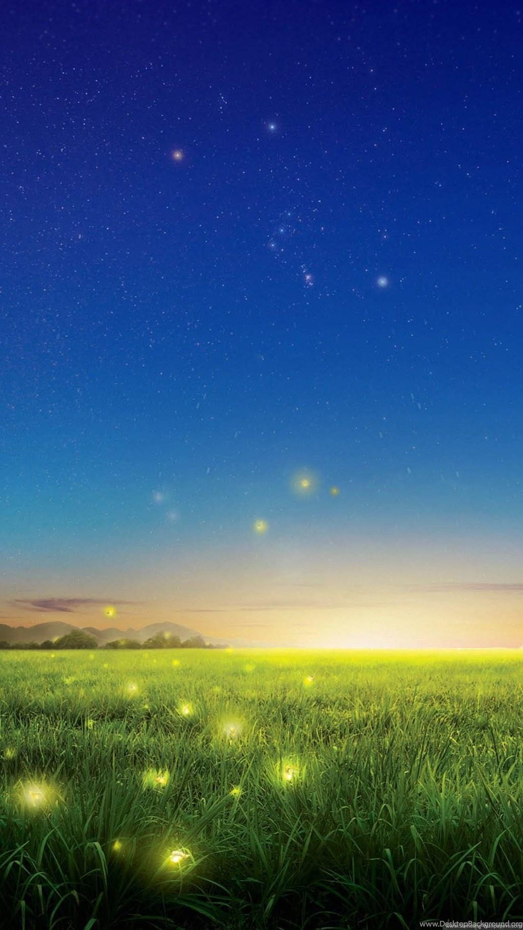 1024x1820 Wallpaper Full HD 1080 X 1920 Smartphone Fireflies 1080 X 1920