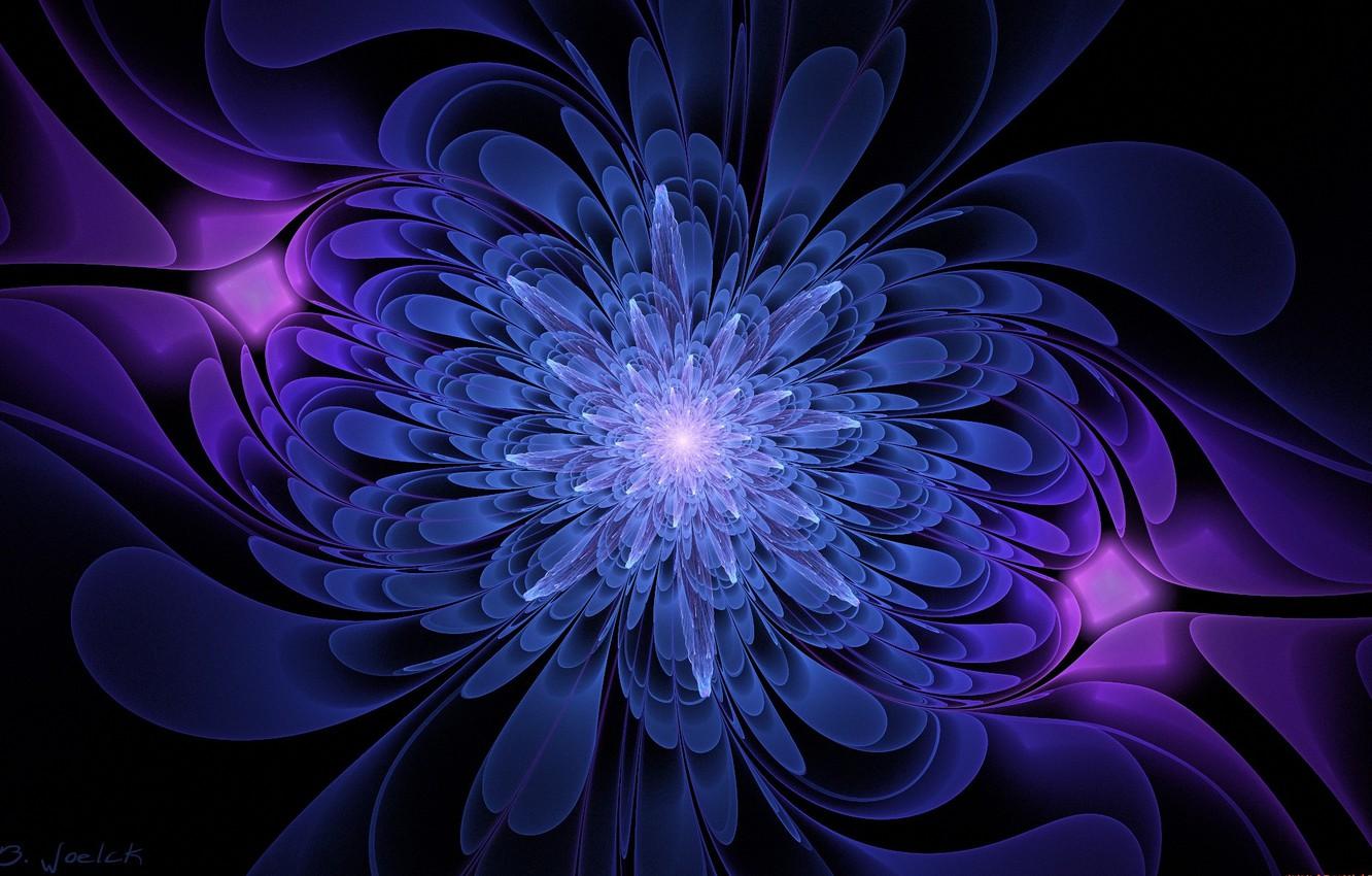 1332x850 Wallpaper flower, graphics, black background, blue and purple color image for desktop, section абстракции