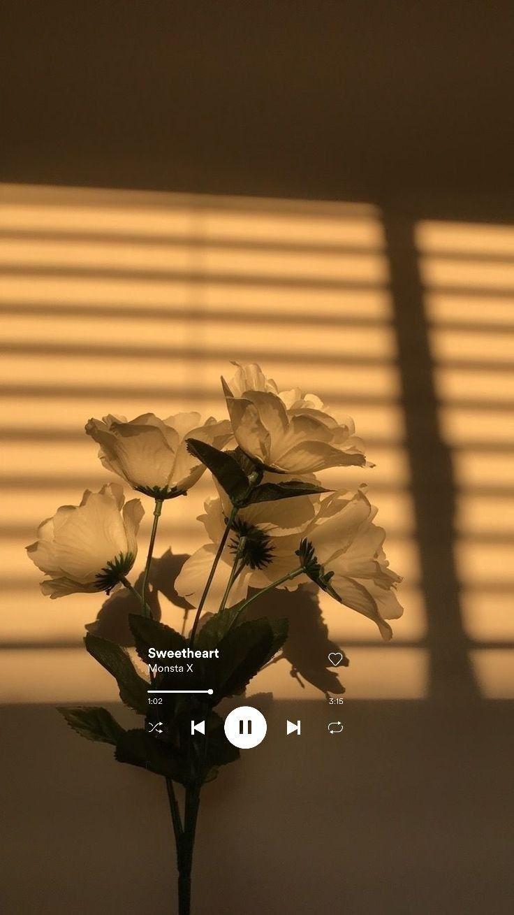 736x1309 Spotify Aesthetic Wallpaper
