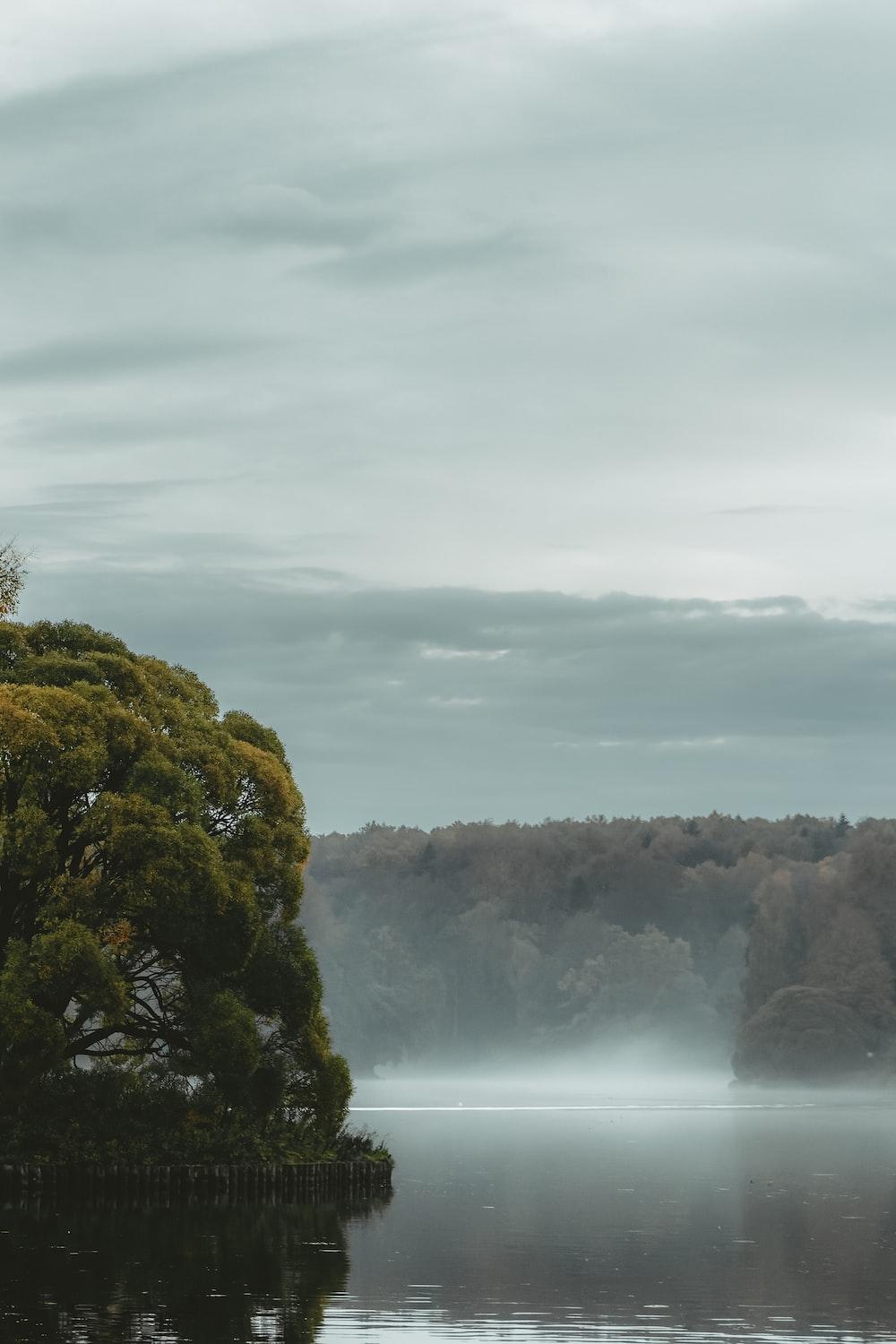 1000x1500 Free Nature Image