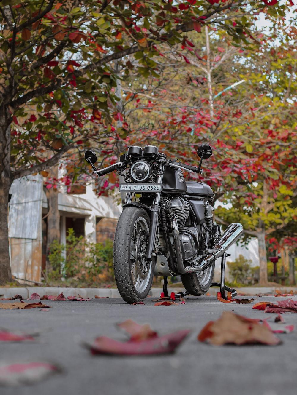 1000x1333 Continental Gt 650 Picture. Download Free Image