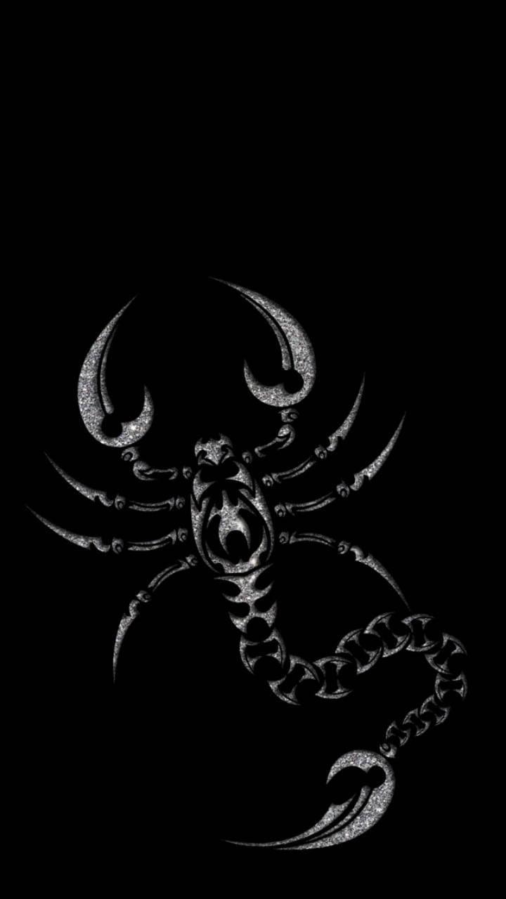 720x1280 Free Scorpion Picture, Scorpion Picture for FREE