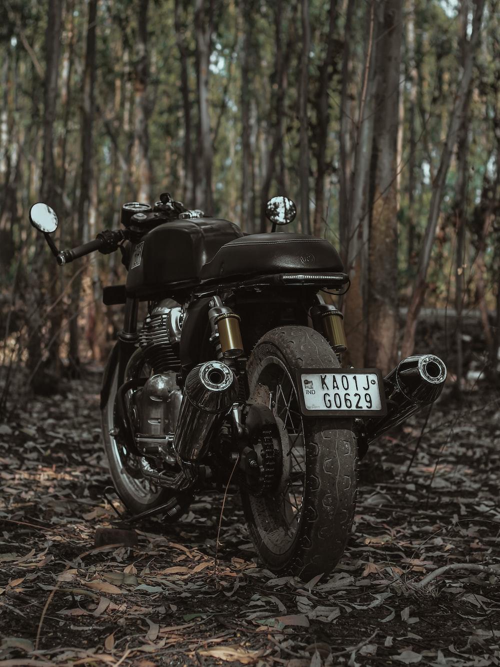 1000x1333 Continental Gt 650 Picture. Download Free Image