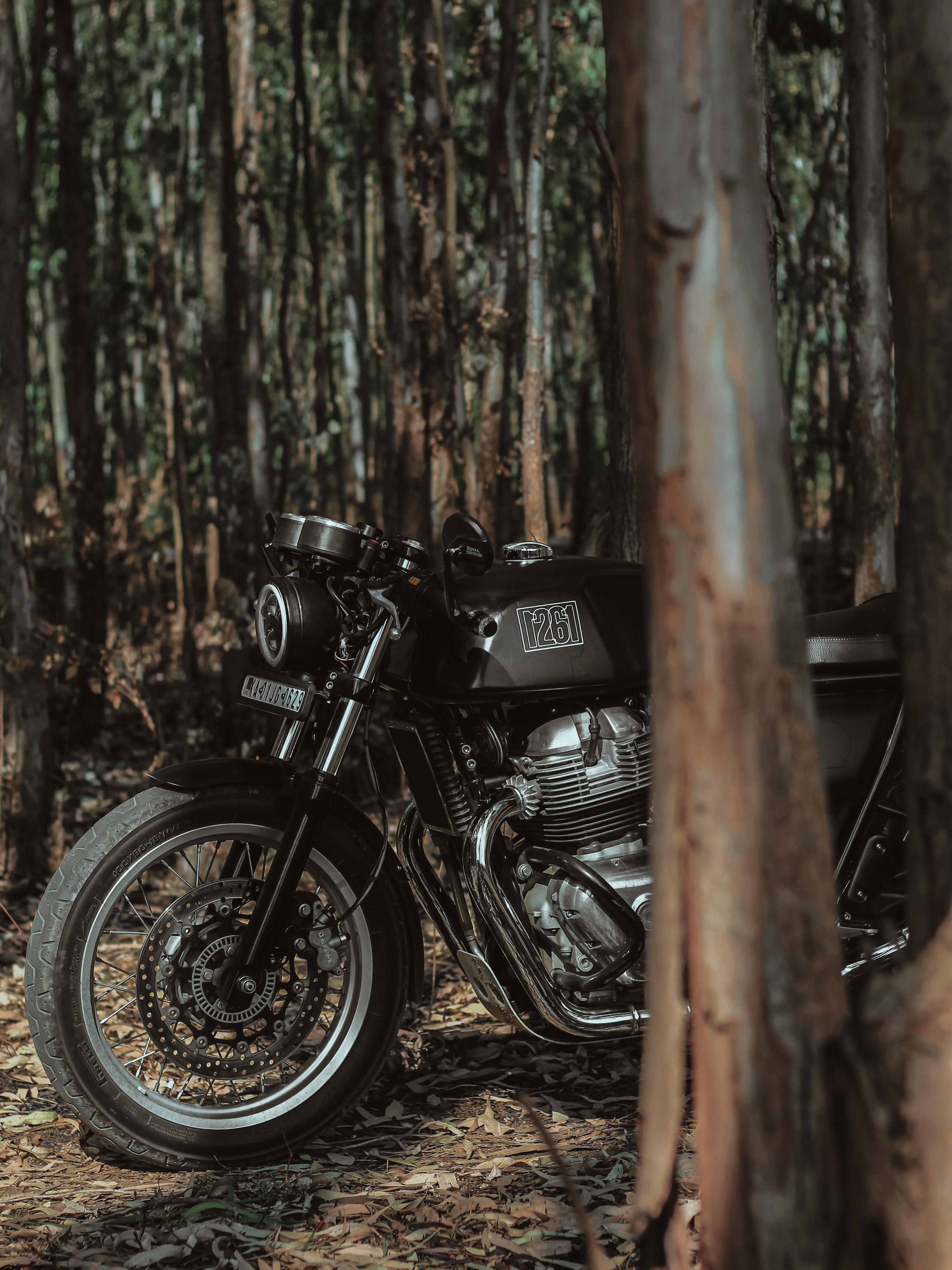 3398x4531 Download Royal Enfield Continental Gt 650 wallpaper for mobile phone, free Royal Enfield Continental Gt 650 HD picture