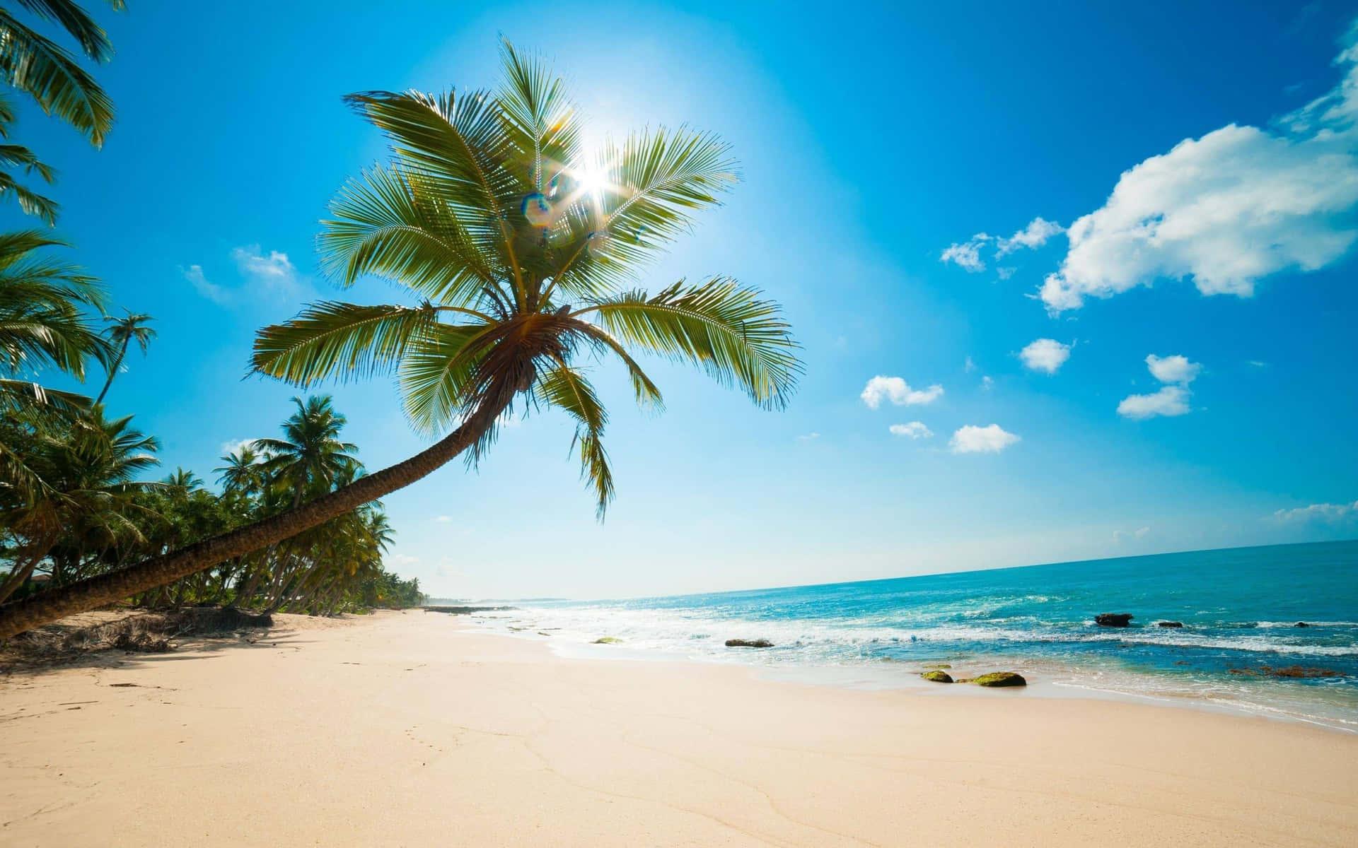 1920x1200 Download Caribbean Beach Wallpaper