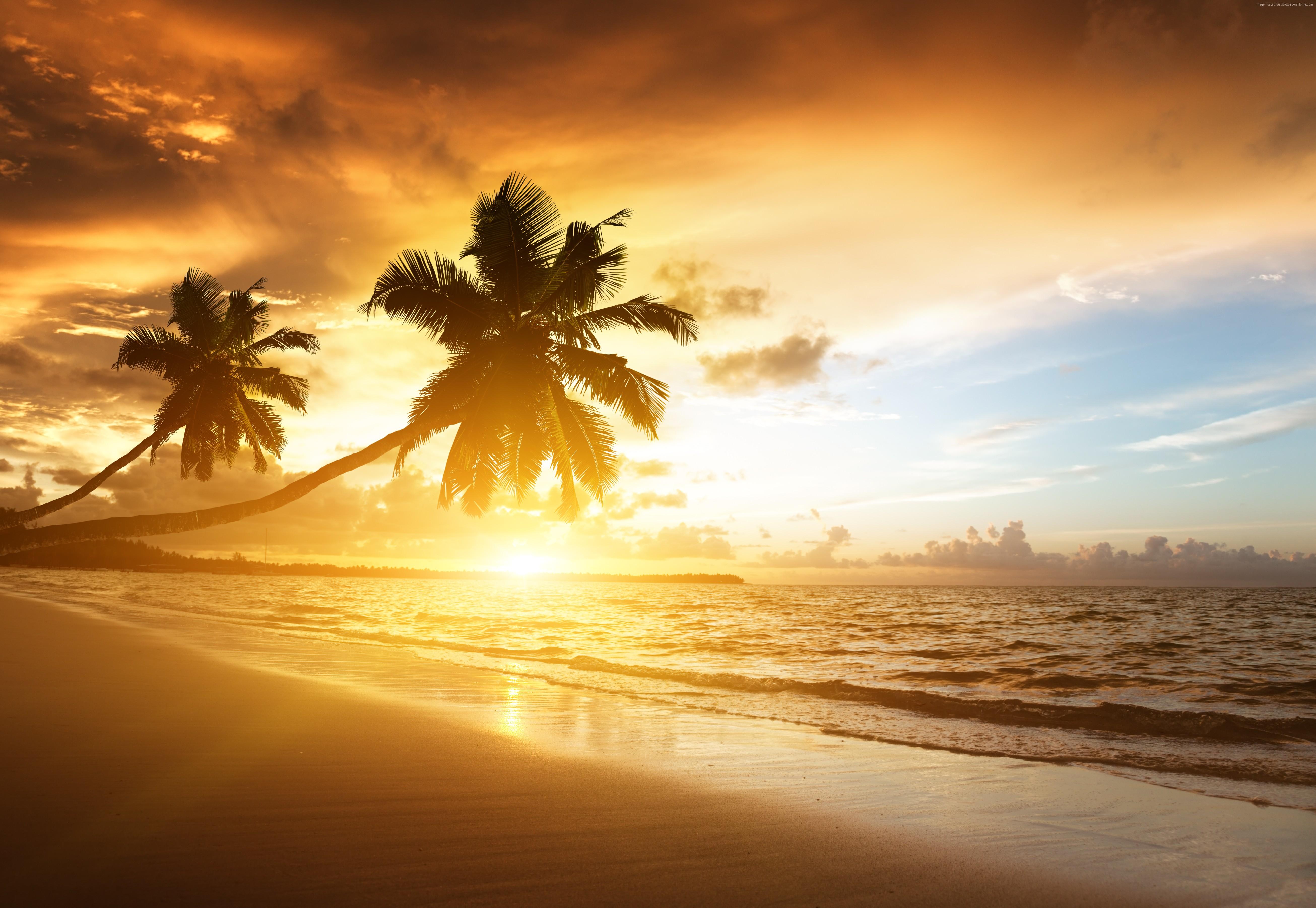 5224x3604 4k, ocean, palm trees, 5k, vacation, sunset, beach, journey Gallery HD Wallpaper