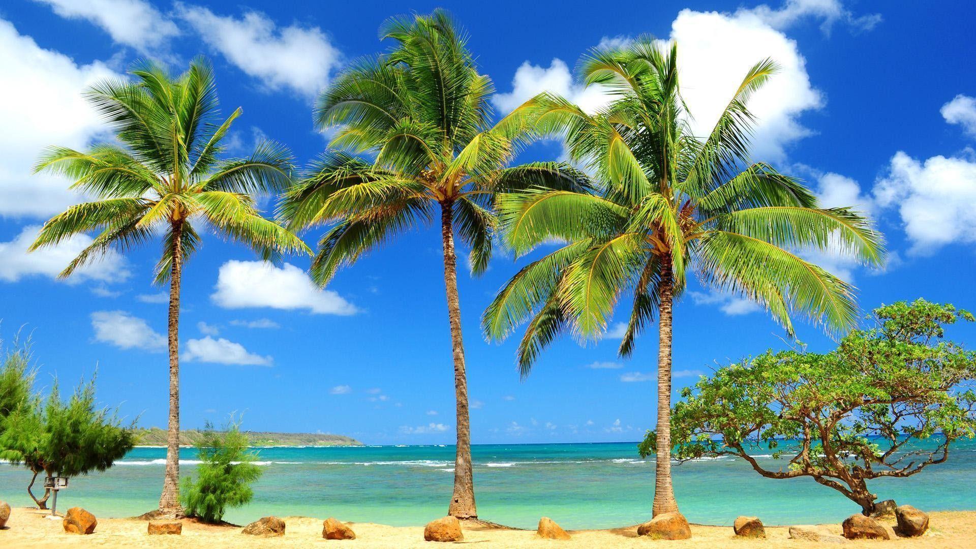 1920x1080 Caribbean Beach Desktop Wallpaper