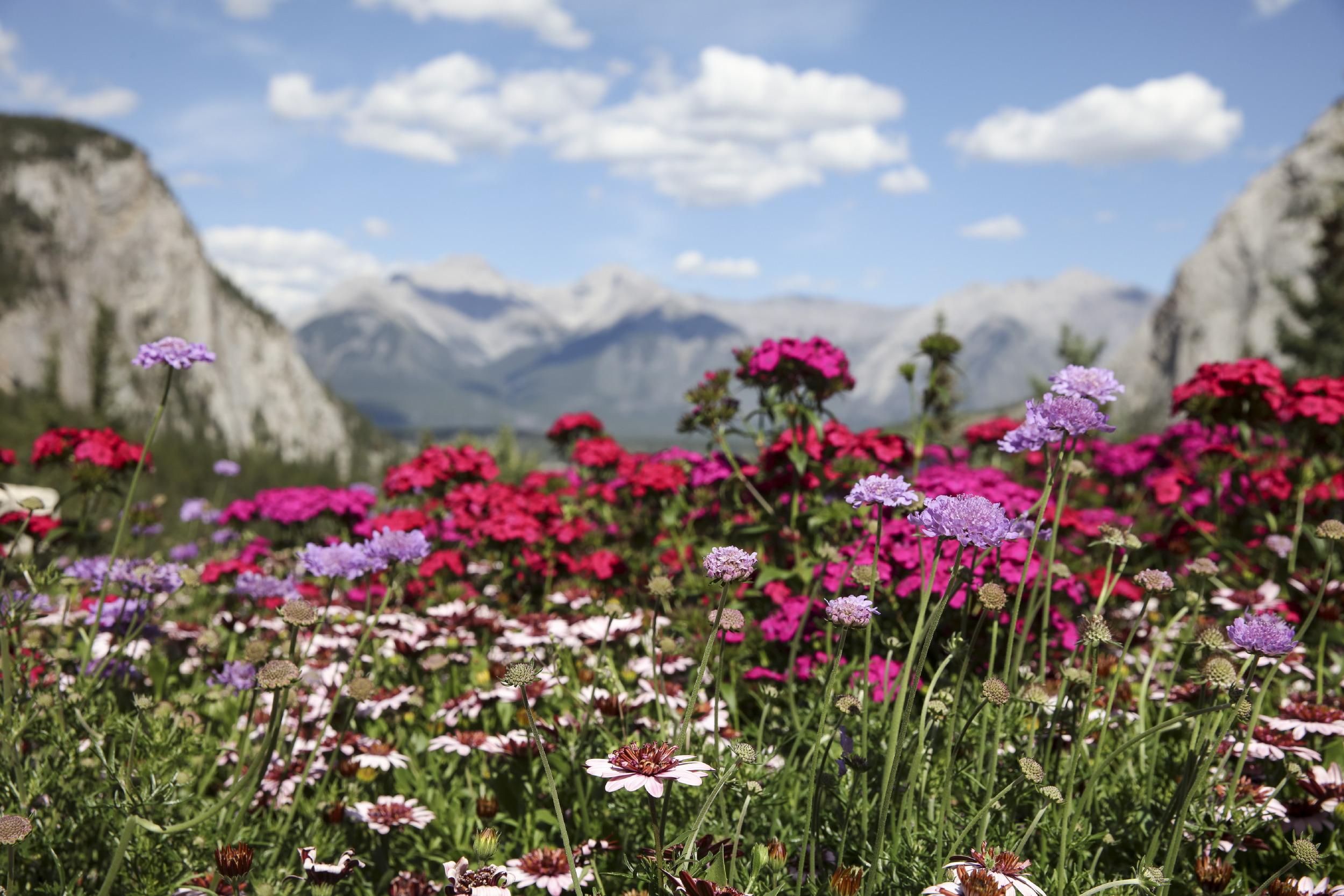 2500x1666 Banff National Park for National Geographic Traveler