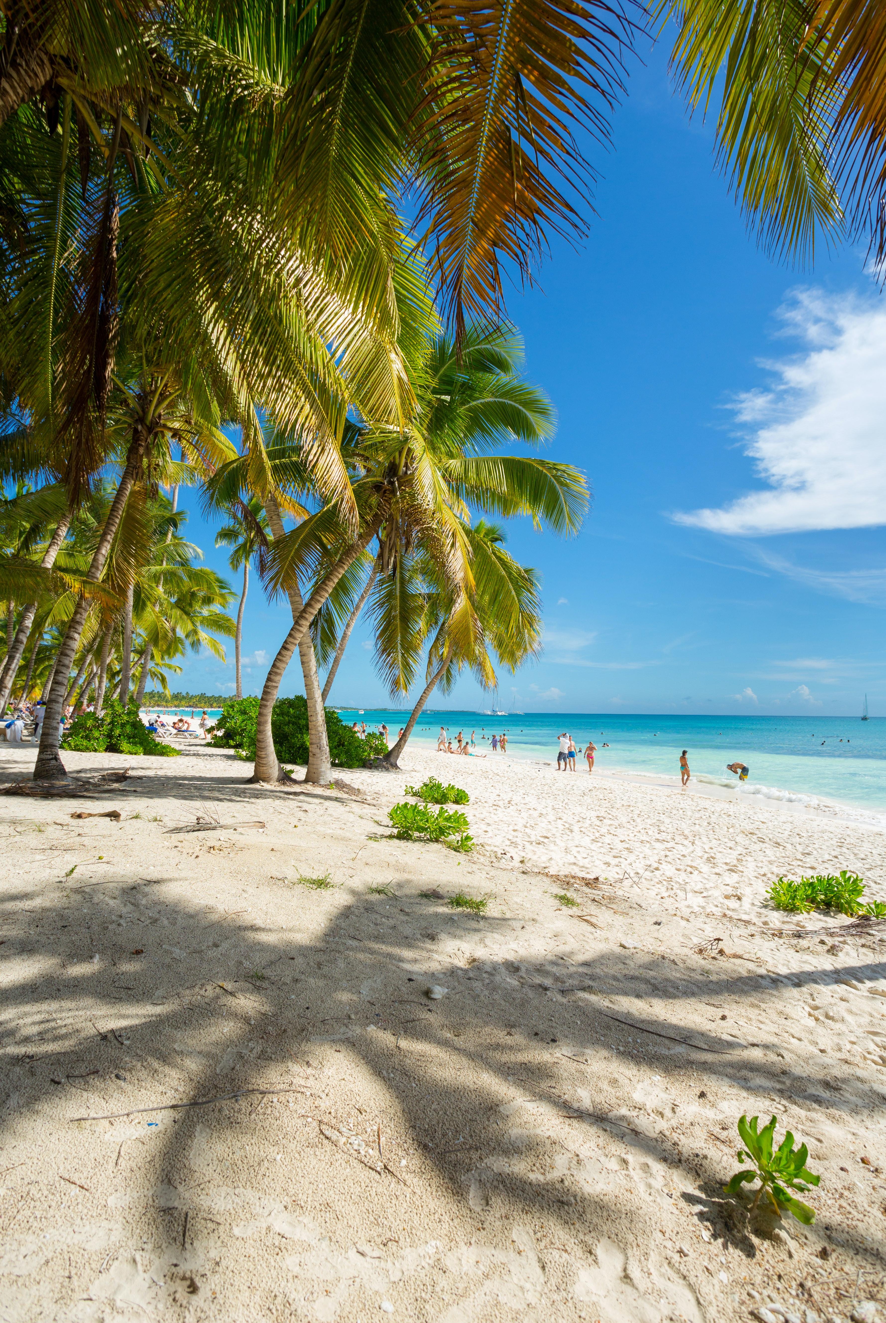Dominican Republic 4K Wallpapers - Top Free Dominican Republic 4K ...