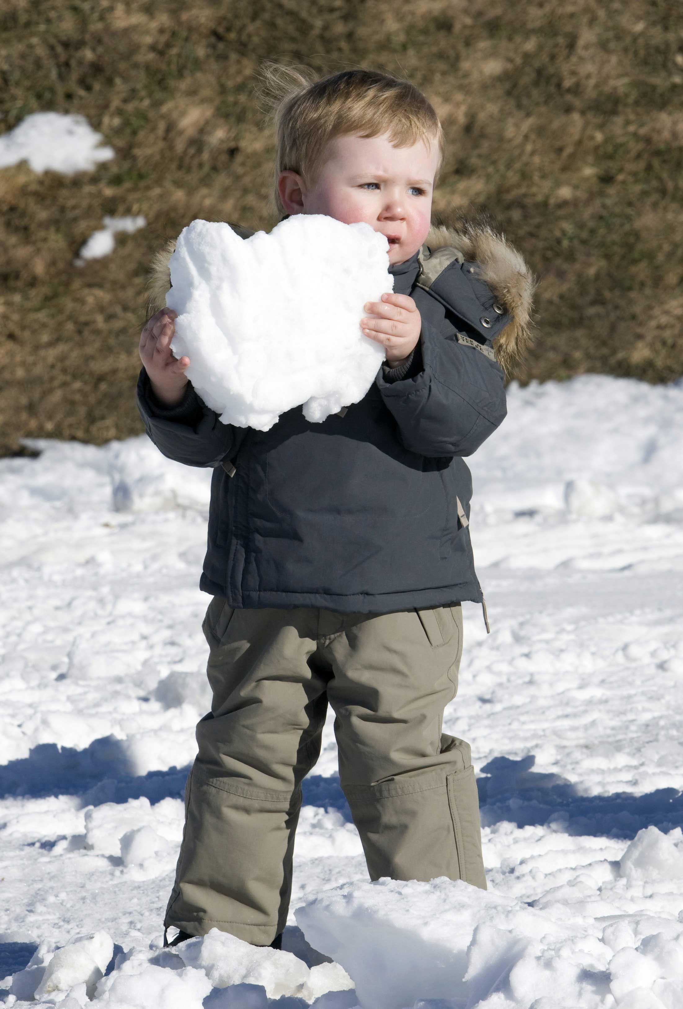 2203x3254 Picture of Royal Babies Playing In the Snow