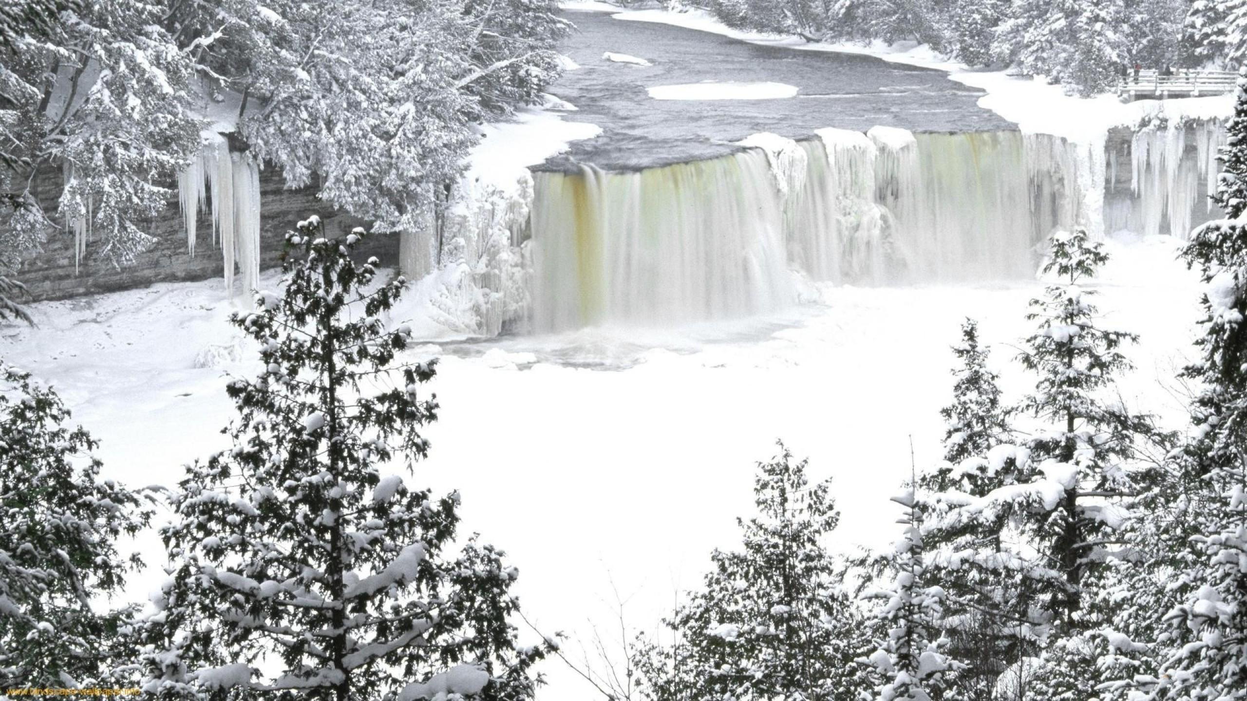 2560x1440 Niagara Falls Frozen