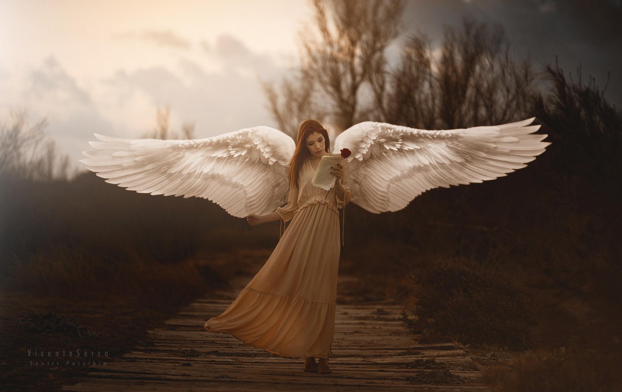 2048x1290 Girl With Wings Angel Wallpaper, HD Girls 4K Wallpaper, Image, Photo and Background