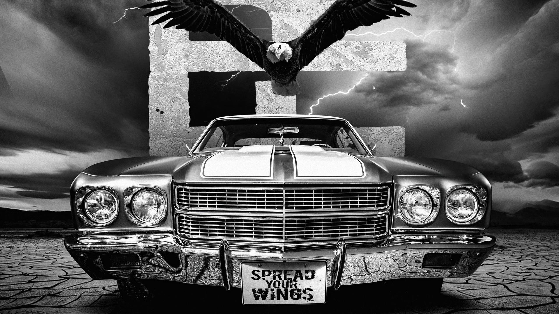 1920x1080 Spread Your Wings Laptop Full HD 1080P HD 4k Wallpaper, Image, Background, Photo and Picture