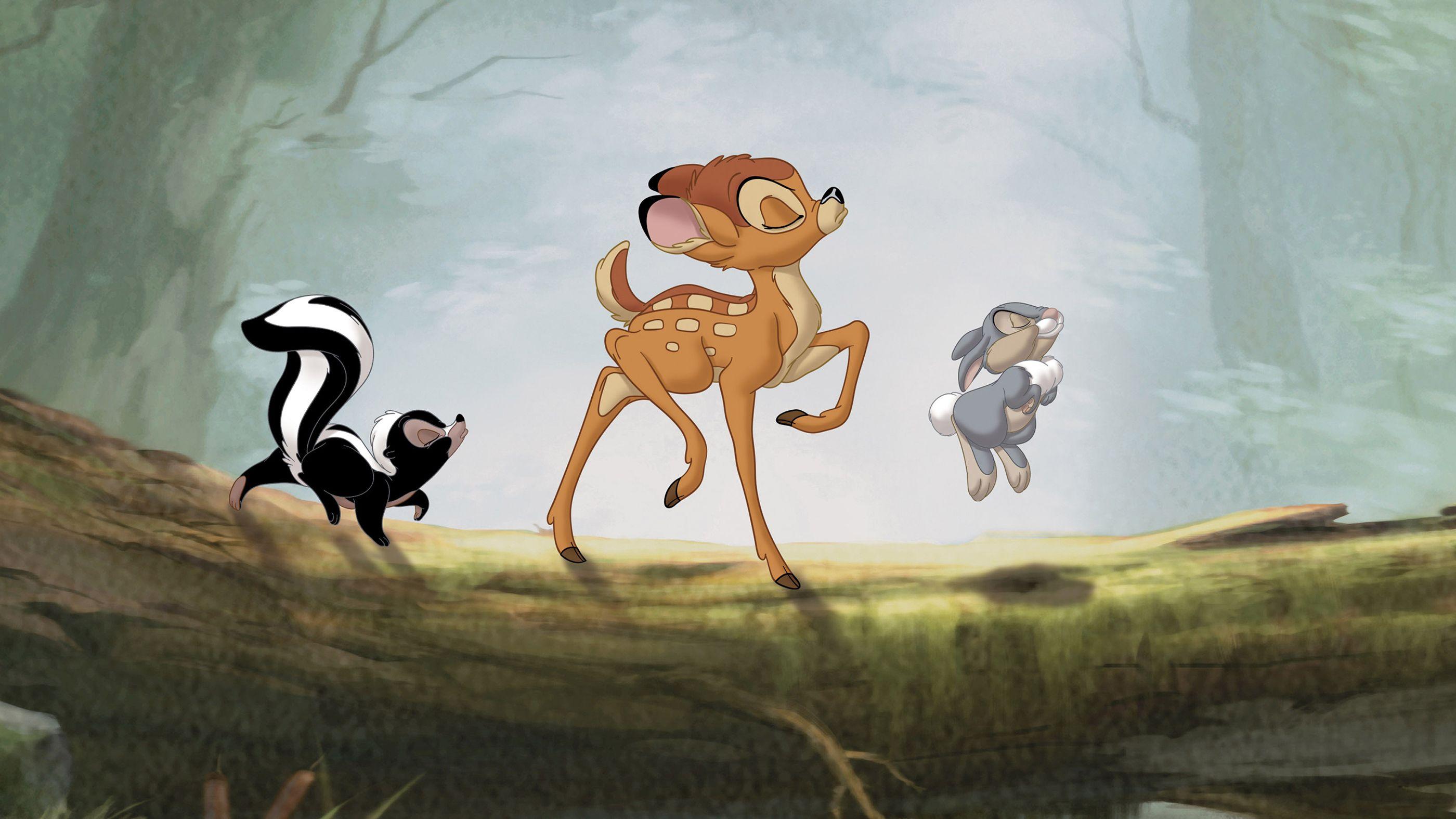2800x1575 Bambi II