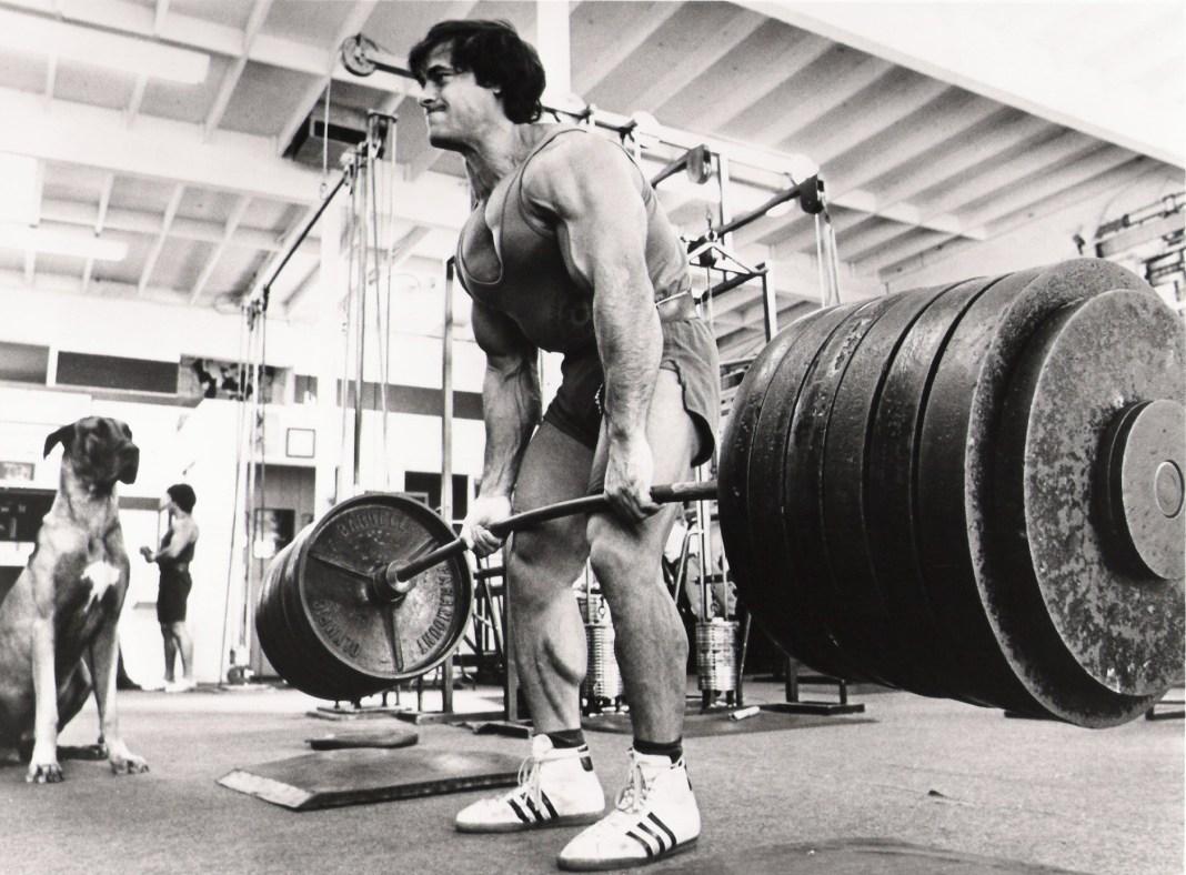 Franco Columbu Wallpapers - Top Free Franco Columbu Backgrounds