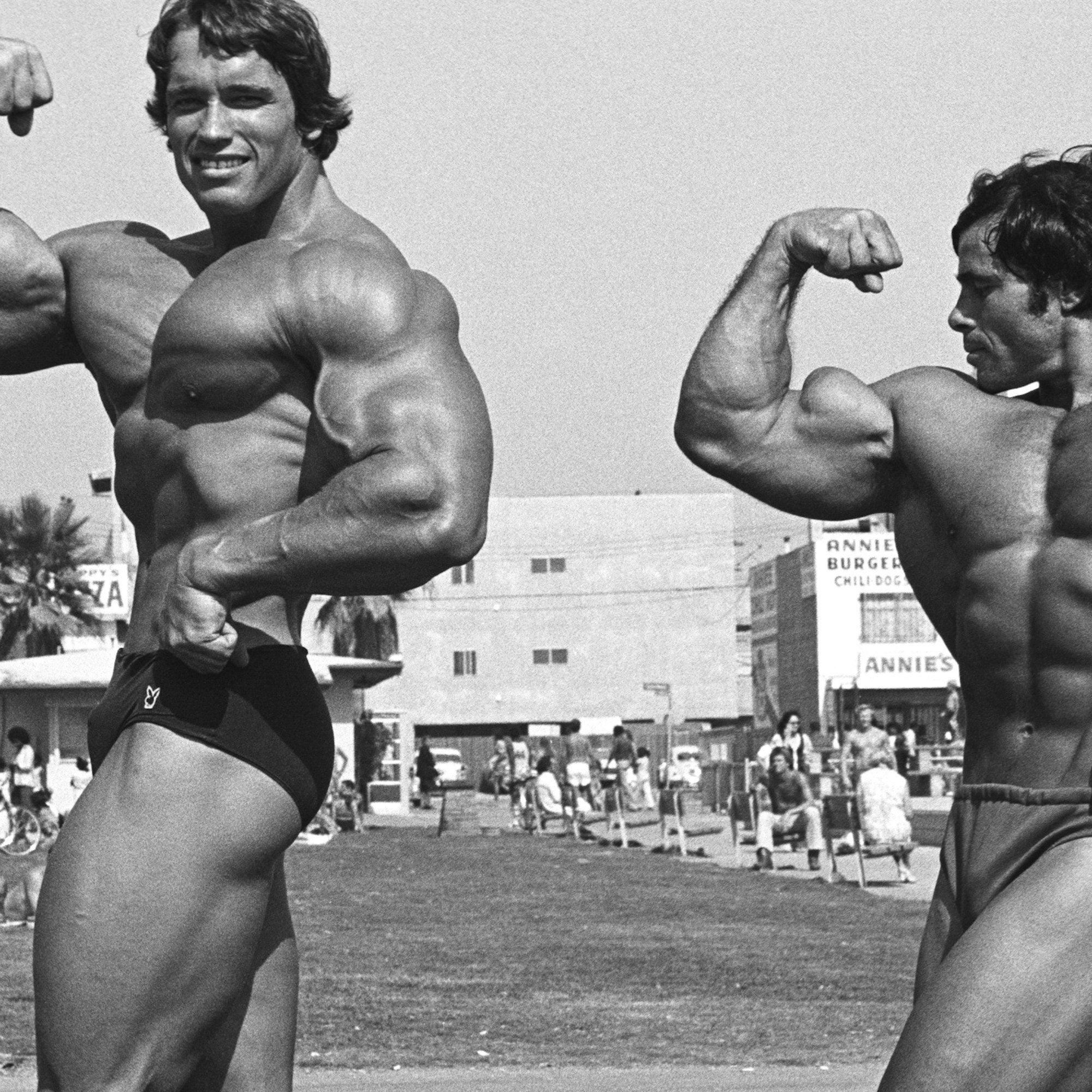 Franco Columbu Wallpapers Top Free Franco Columbu Backgrounds franco-columbu-wallpapers-top-free-franco-columbu-backgrounds