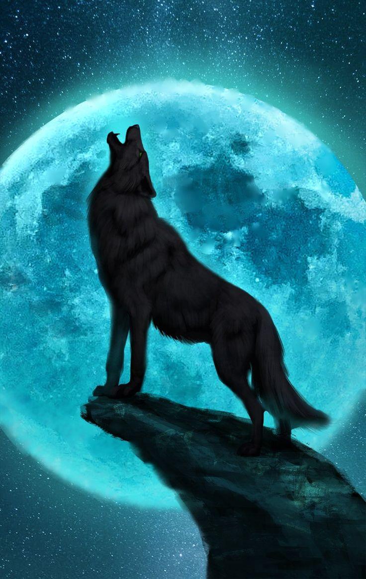 736x1164 Wolves ideas. wolf spirit, wolf love, wolf picture