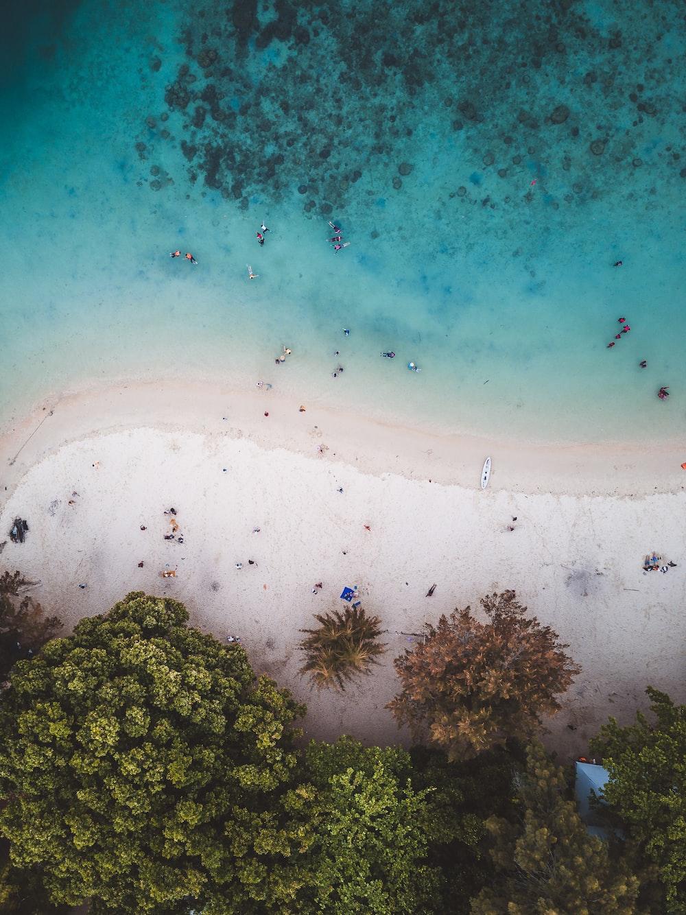1000x1334 aerial photo of beach photo