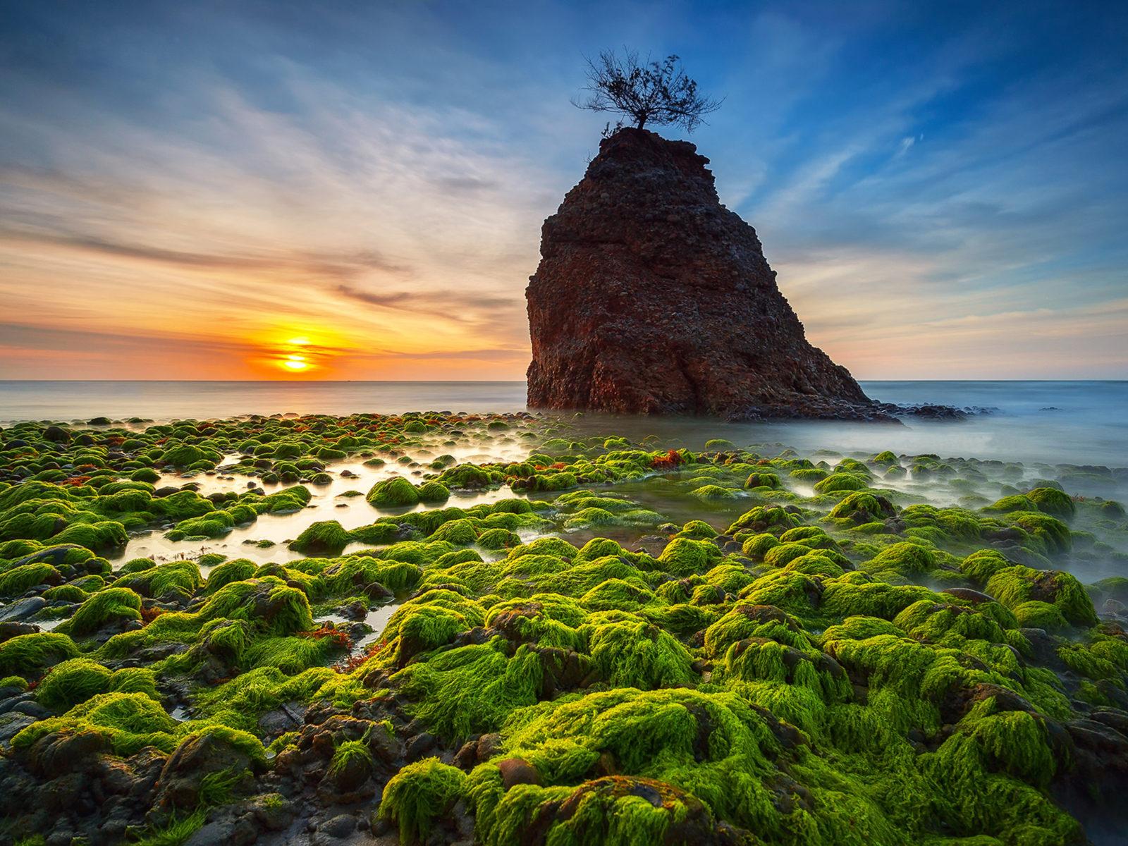 1600x1200 Sunset Batu Luang Beach Green Algae Rocks Ocean Waves Kuala Penyu Sabah Malaysia Android Wallpaper For Your Desktop Or Phone :