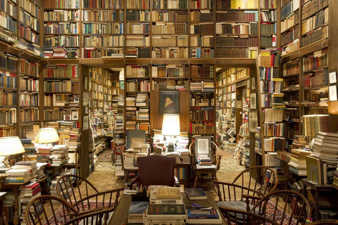 1152x768 A large naturally lit library with bookshelves 2K wallpaper download