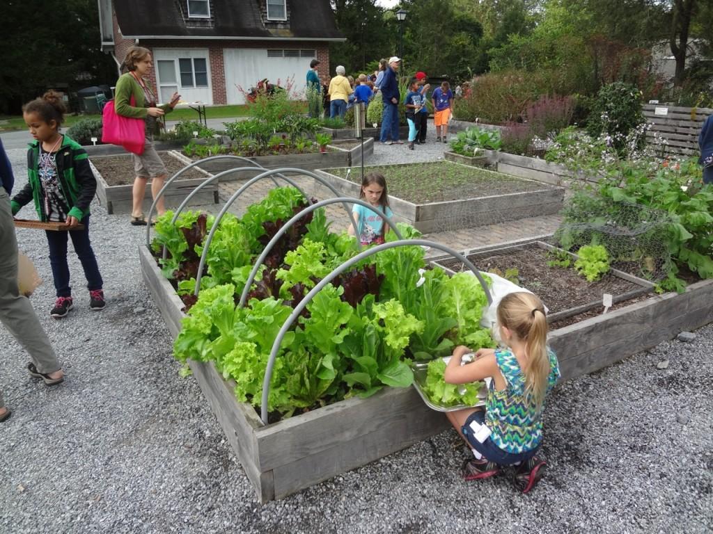 School Garden Wallpapers Top Free School Garden Backgrounds school-garden-wallpapers-top-free-school-garden-backgrounds