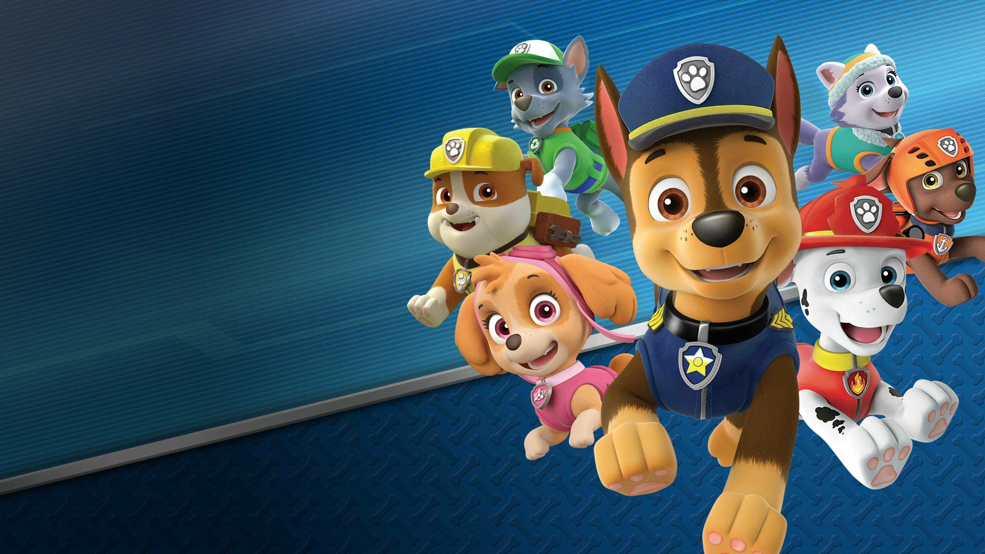Paw Patrol 4k Wallpapers - Top Free Paw Patrol 4k Backgrounds ...