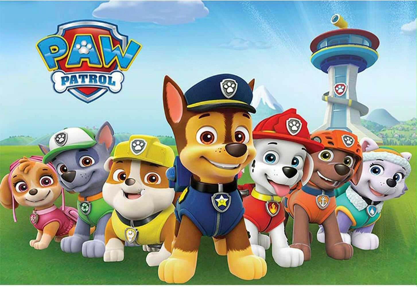 Paw Patrol 4k Wallpapers - Top Free Paw Patrol 4k Backgrounds ...
