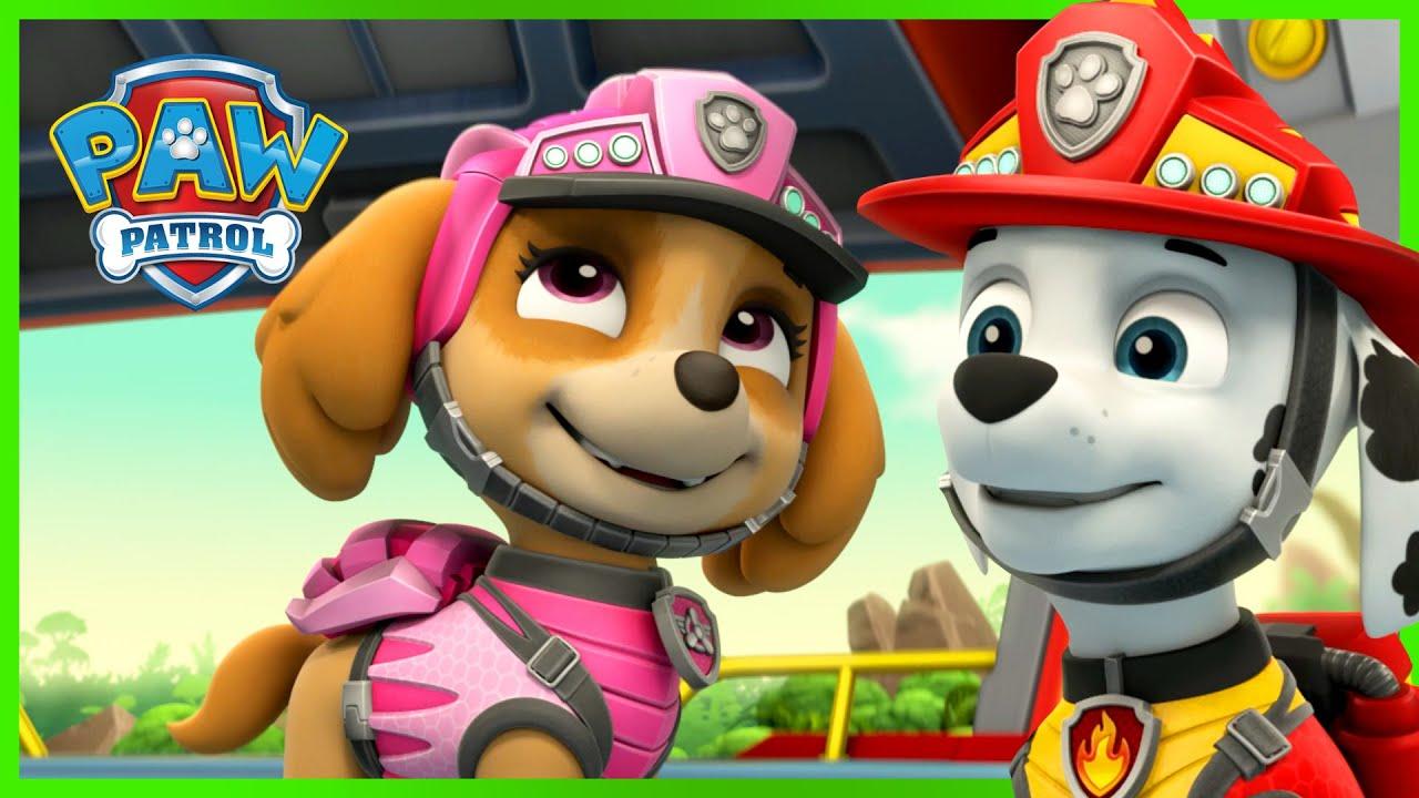 1280x720 Marshall and Skye Rescue Knights Episodes and More