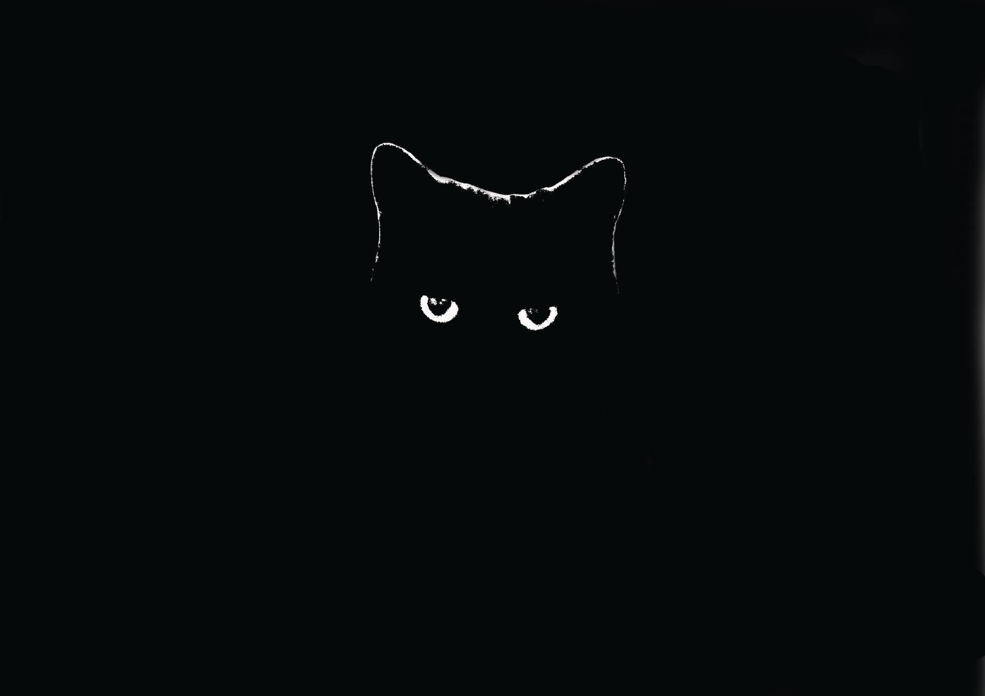 Black Cat 4k Wallpapers - Top Free Black Cat 4k Backgrounds