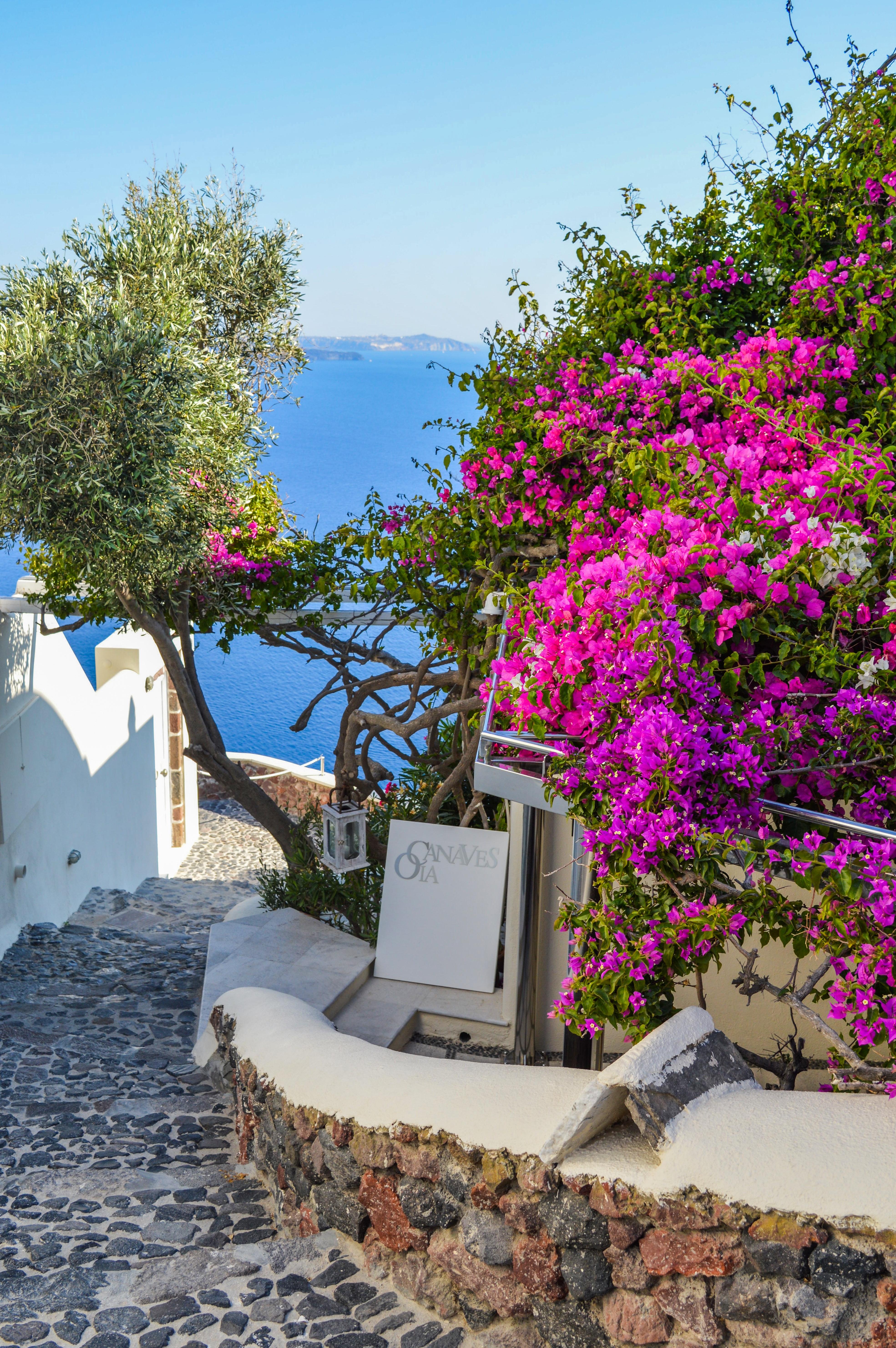 3938x5923 Greece Photo, Download The BEST Free Greece & HD Image