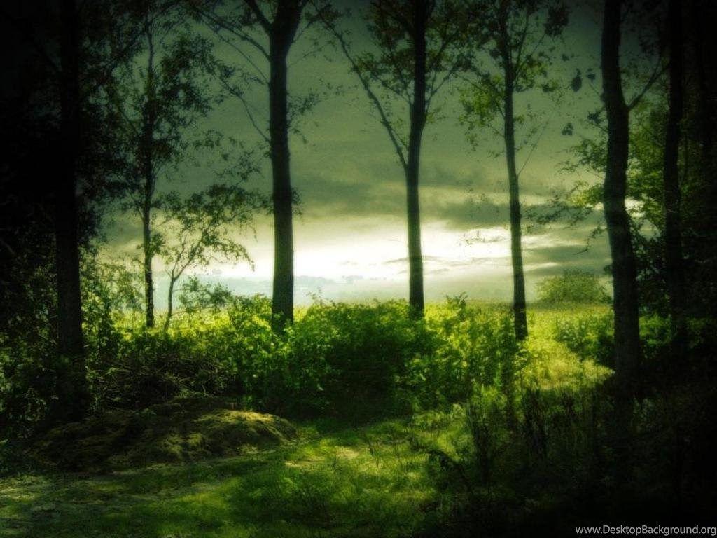 Serene Desktop Wallpapers - Top Free Serene Desktop Backgrounds