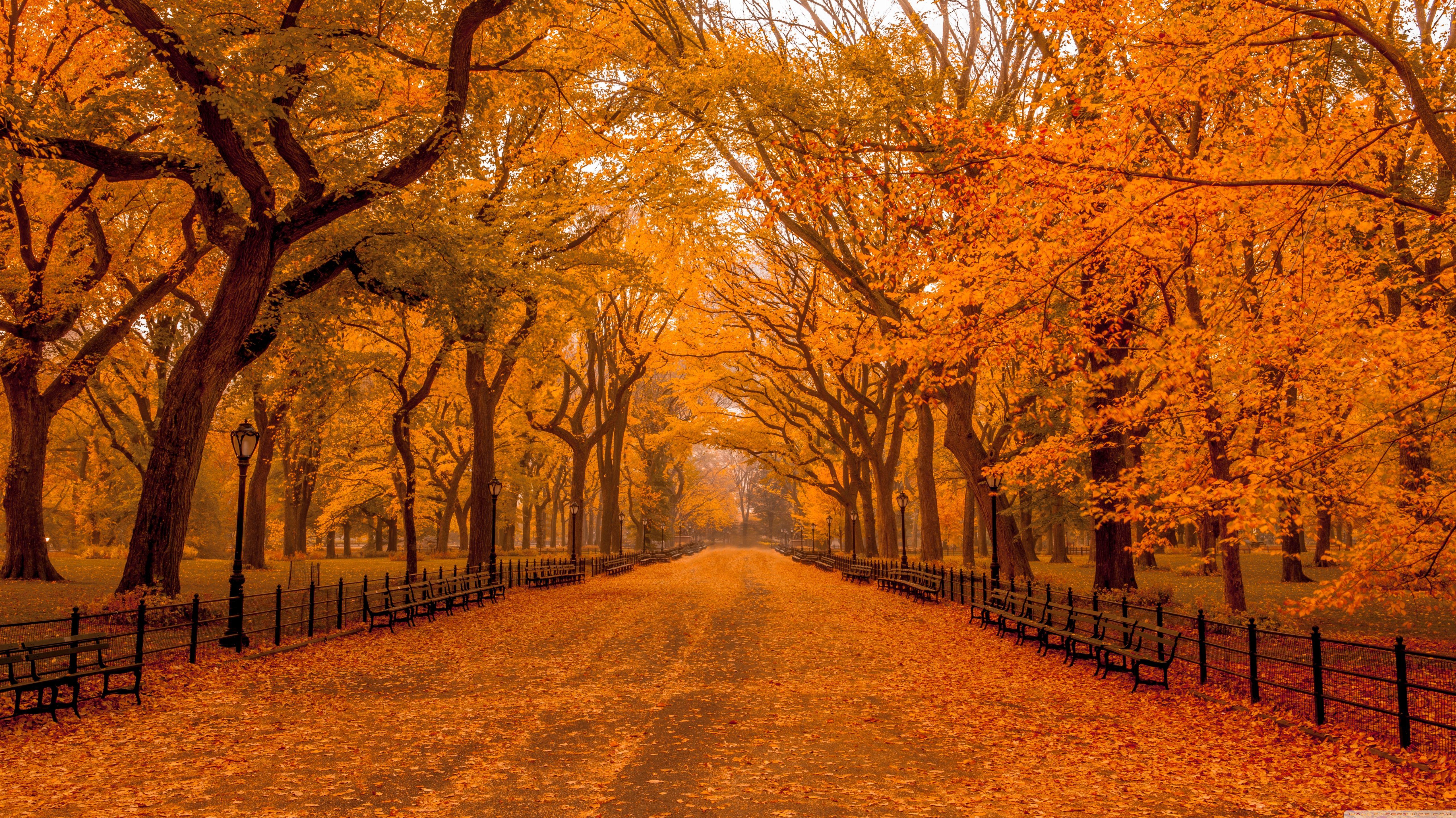 Desktop Hintergrund Herbst 1920x1080 Desktop Hintergrund Herbst 1920x1080