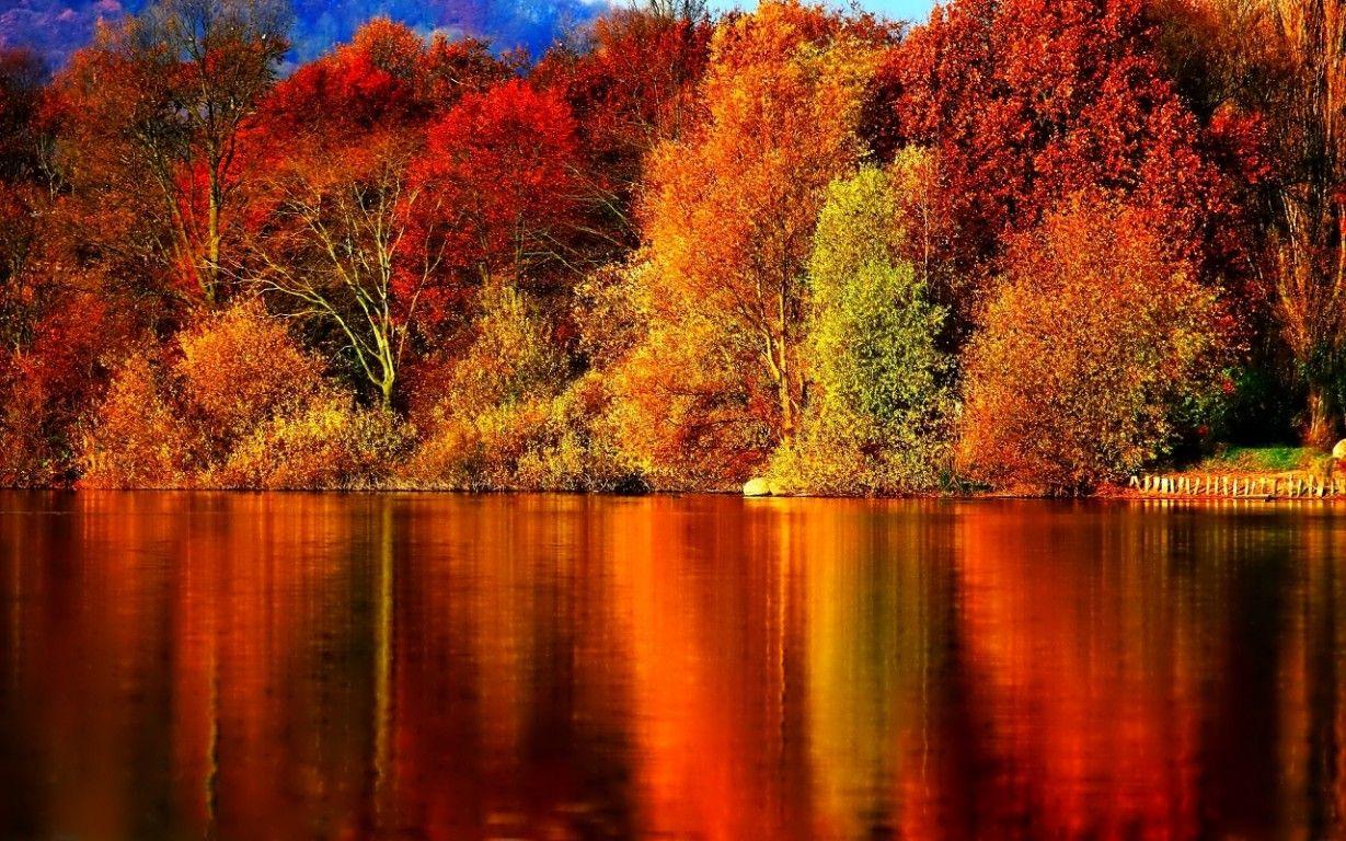 1229x768 Free Autumn Wallpaper 2592