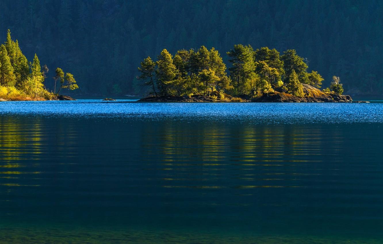 1332x850 Wallpaper forest, water, trees, Canada, Canada, island, Cowichan Lake, lake Cowichan, Vancouver Island, Vancouver island image for desktop, section пейзажи