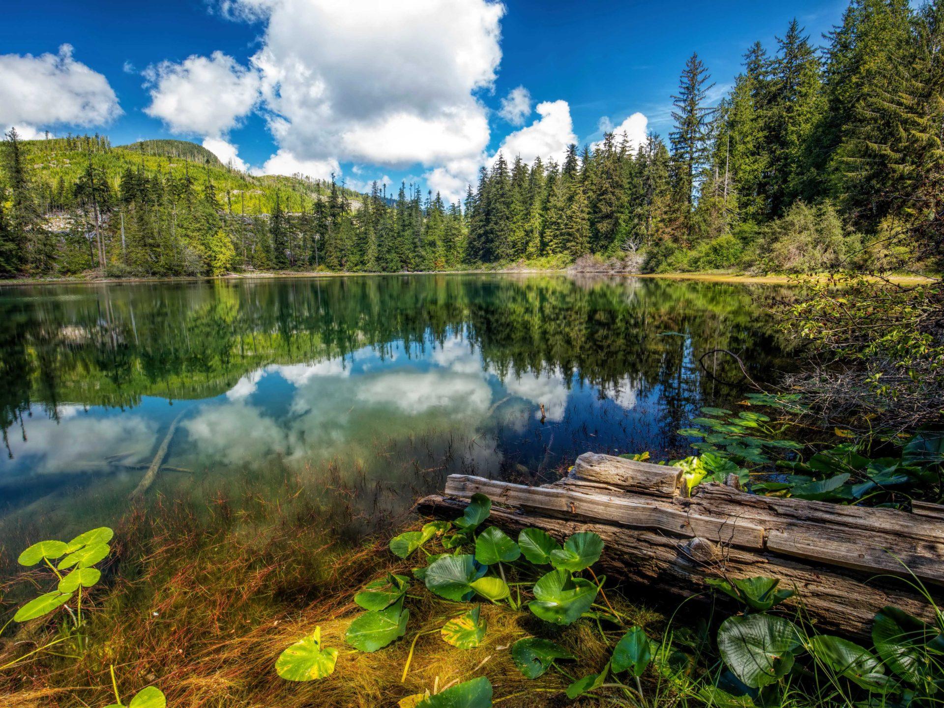 1920x1440 Hadikin Lake Vancouver Island Carmanah Walbran Provincial Park Canada Landscape Wallpaper For Deskx3250 :