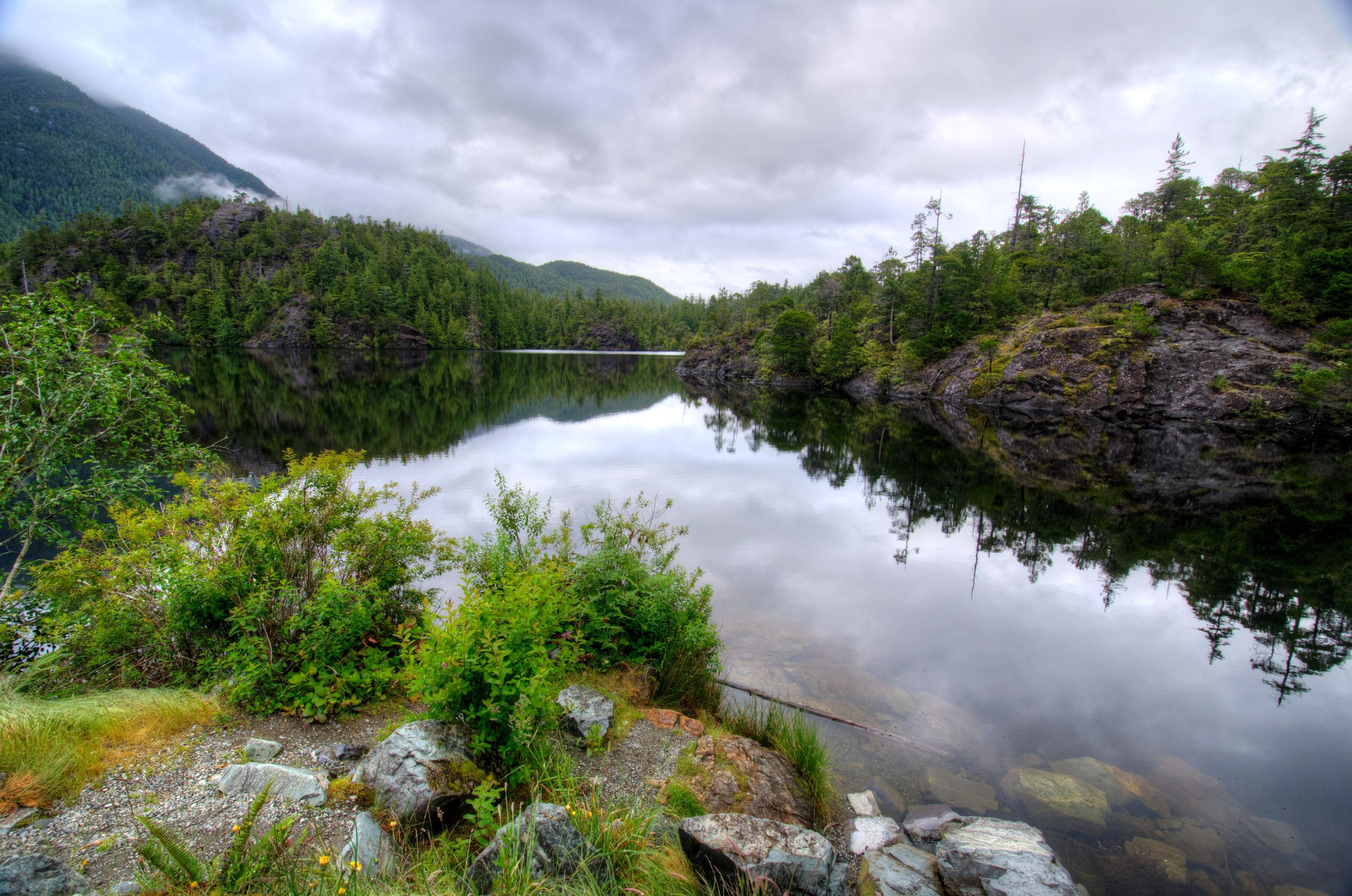 3500x2320 Kennedy Lake, Canada, Lake, Stones, Vancouver, Shrubs Gallery HD Wallpaper