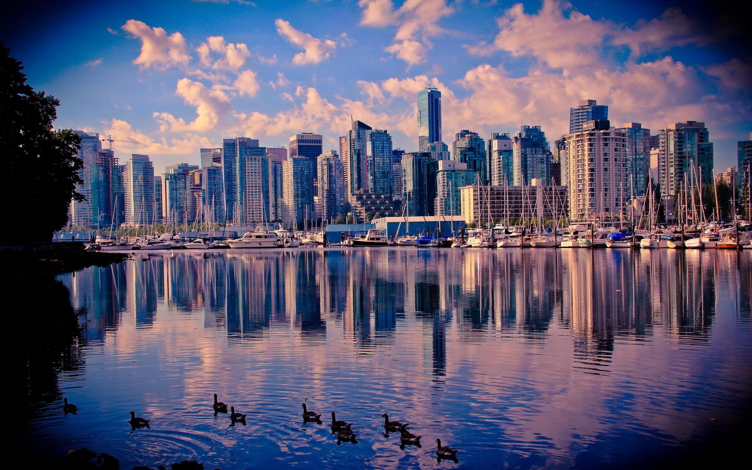 2560x1600 Wallpaper Canada, Vancouver, lake, water, ducks, skyscrapers, city 2560x1600 HD Picture, Image