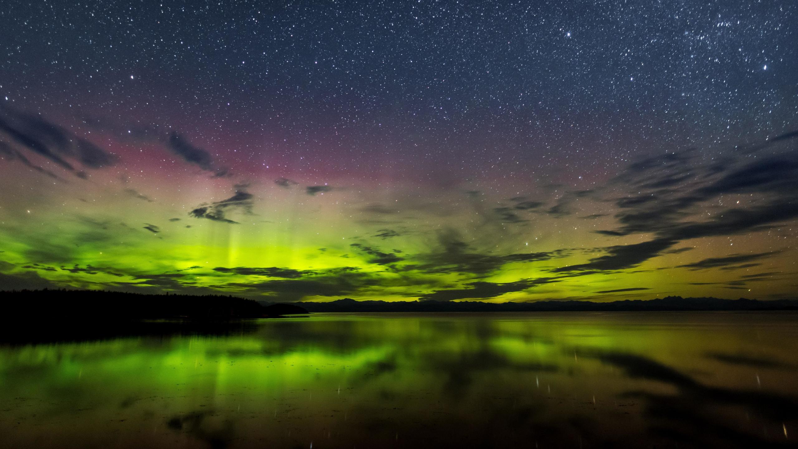 2560x1440 Download wallpaper 2560x1440 aurora borealis, vancouver, island, nature, sillhouette, dual wide 16:9 2560x1440 HD background, 26084