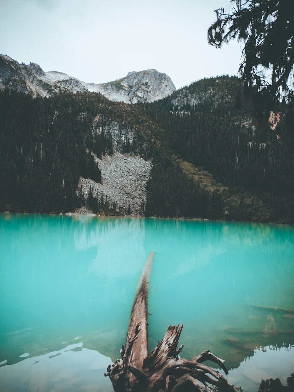 1000x1335 Free British columbia Image